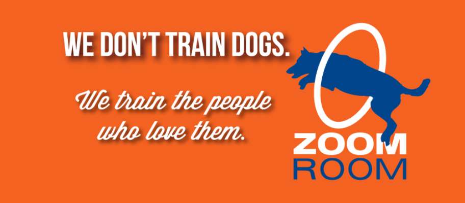 Zoom Room Dog Training