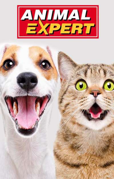 Animal Expert Jean-Talon