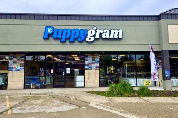 PuppyGram