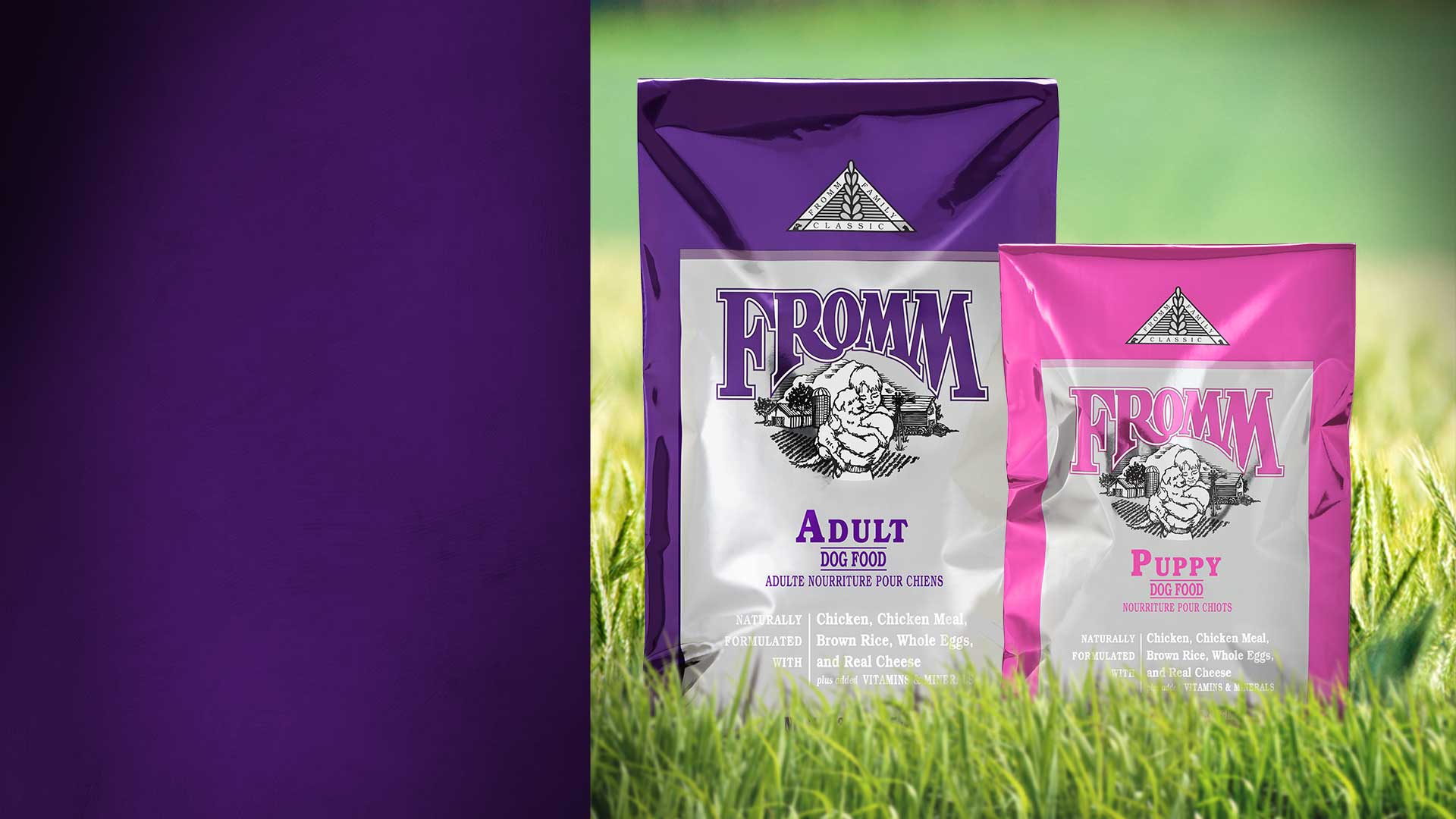 Dog Products Fromm Family Foods