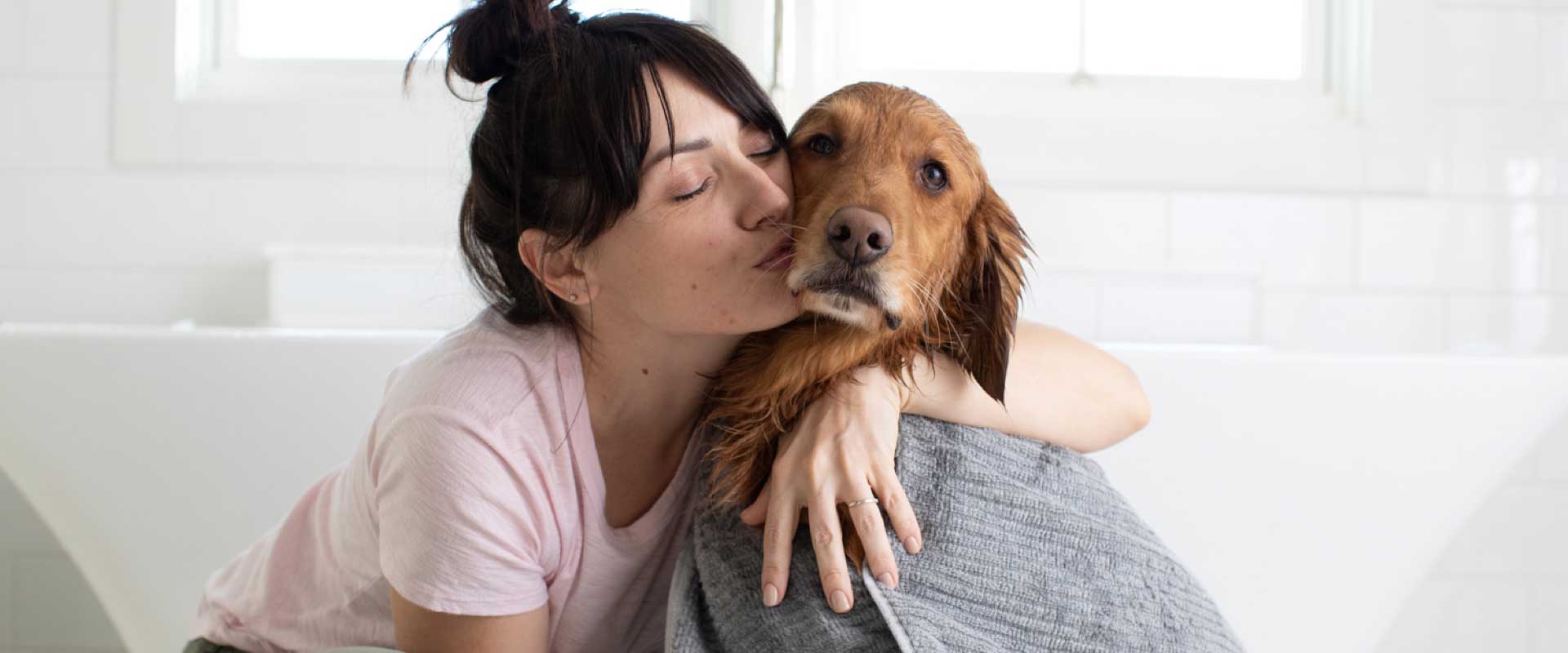 5 Off Fromm Dry Dog Food