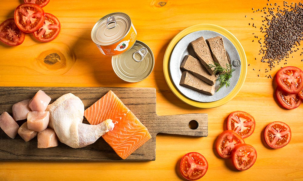 29 Can Cats Eat Salmon Eggs Photography