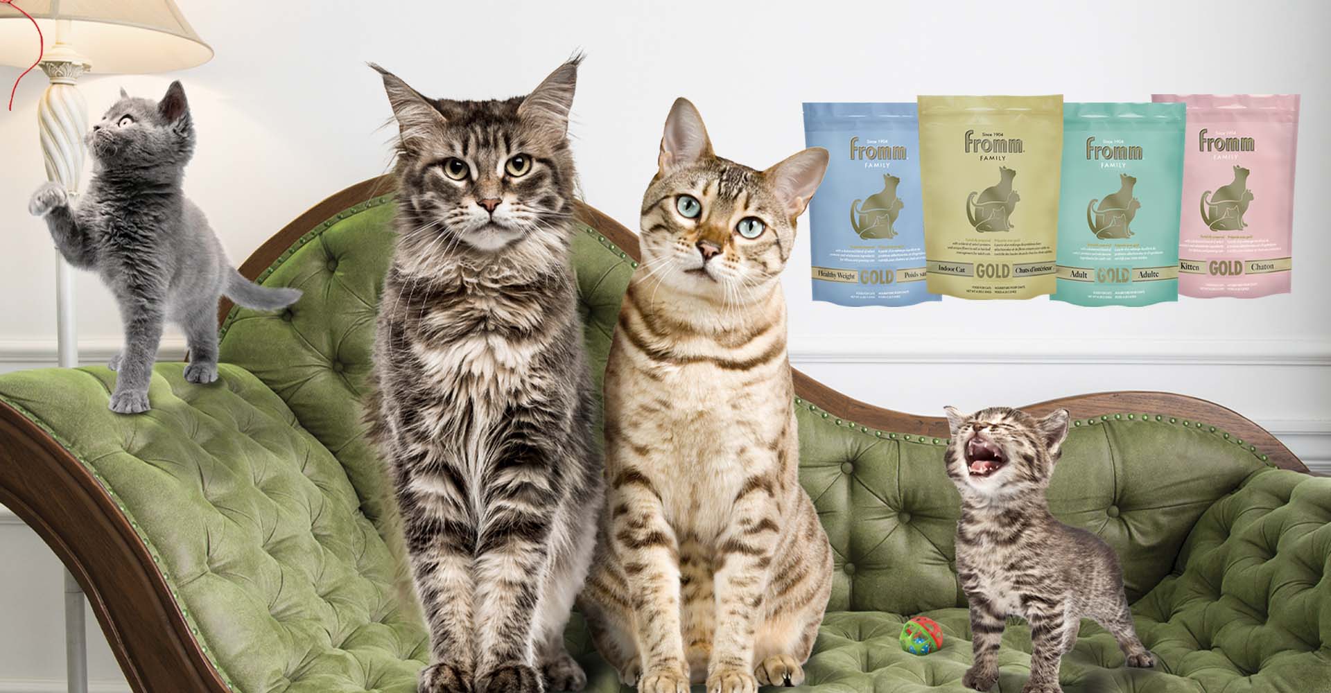 Épargnez 7$ sur tout achat de Fromm Gold pour chats