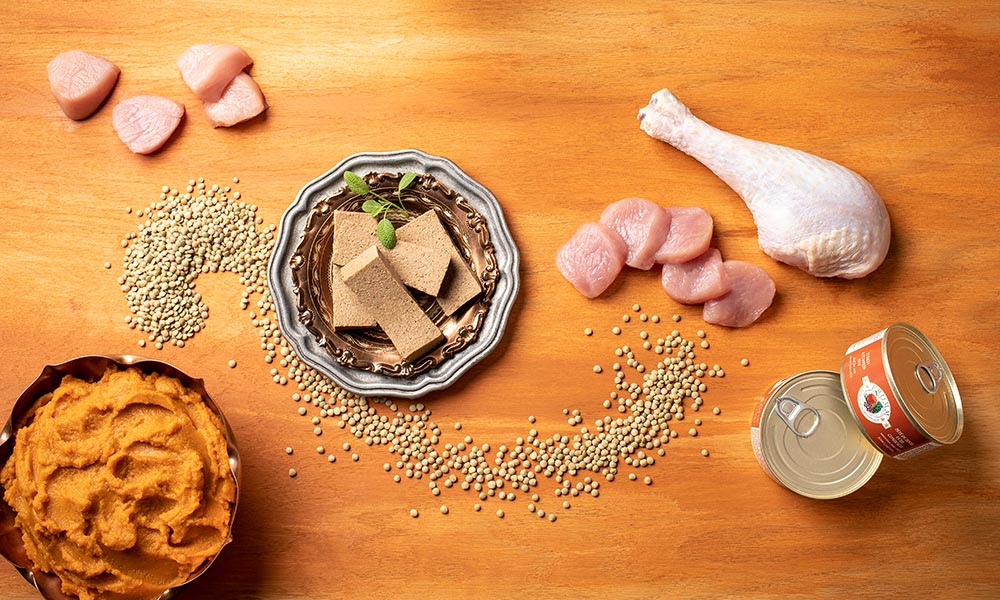 fromm turkey pumpkin