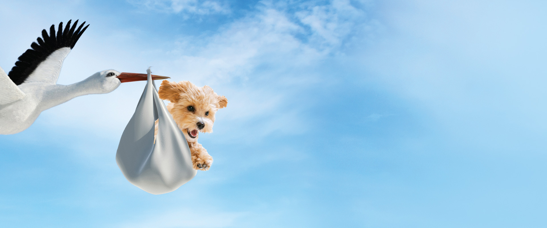 a stork carrying a cute puppy bundled up in a white blanket flying across a blue sky with clouds