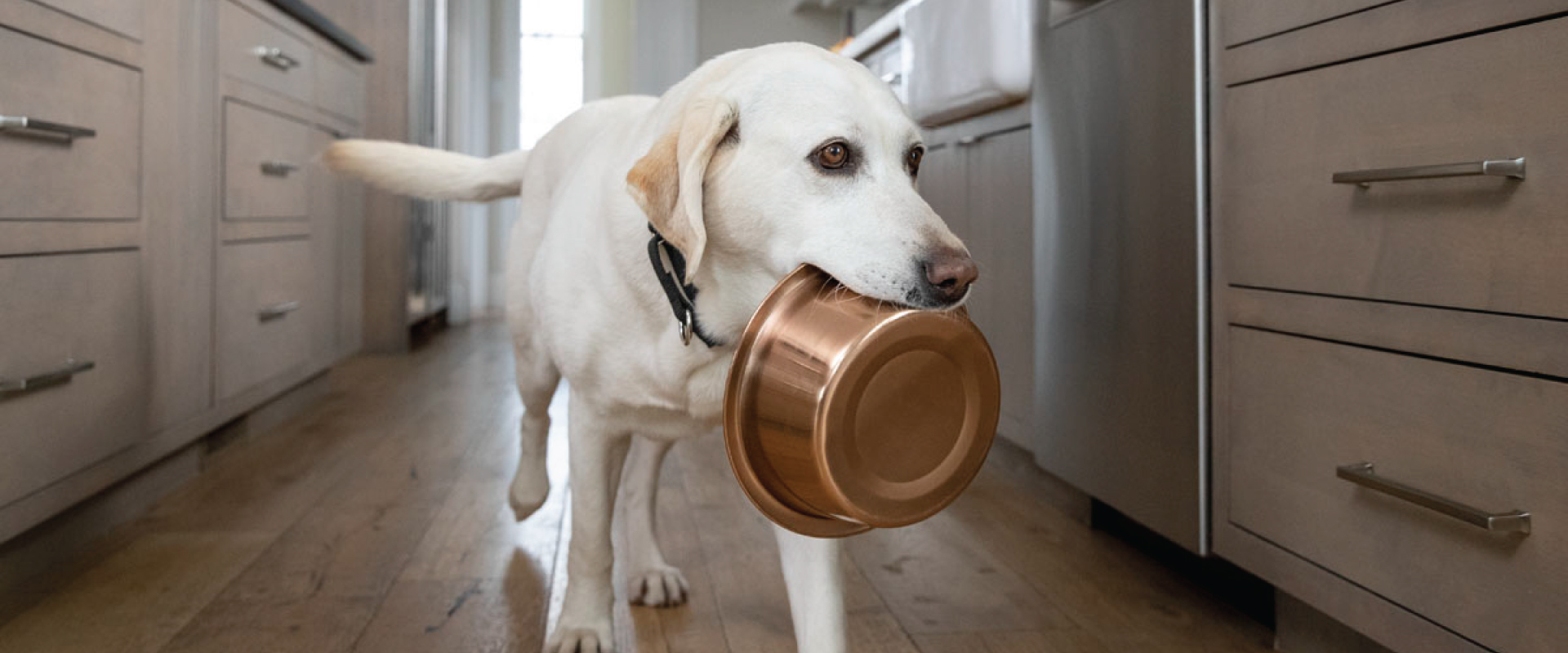 Save 5 on your first 10 Fromm purchase