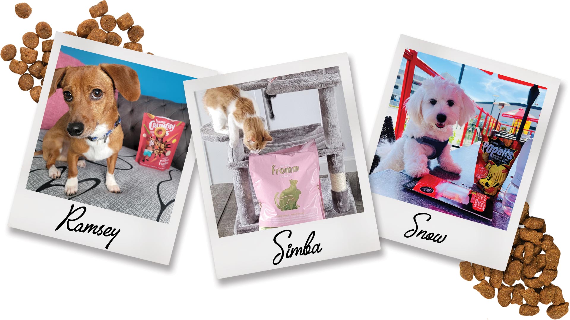 Save 6 on your next Fromm purchase of 12 or more