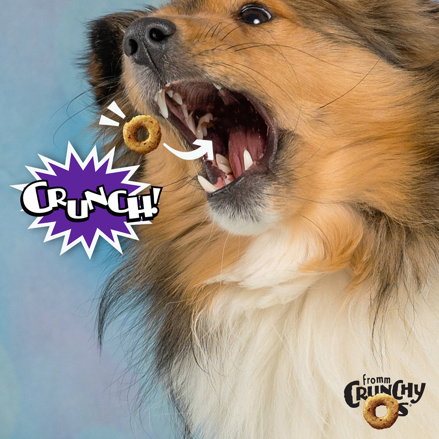 CrunchyOs-Lifestyle-Cheese