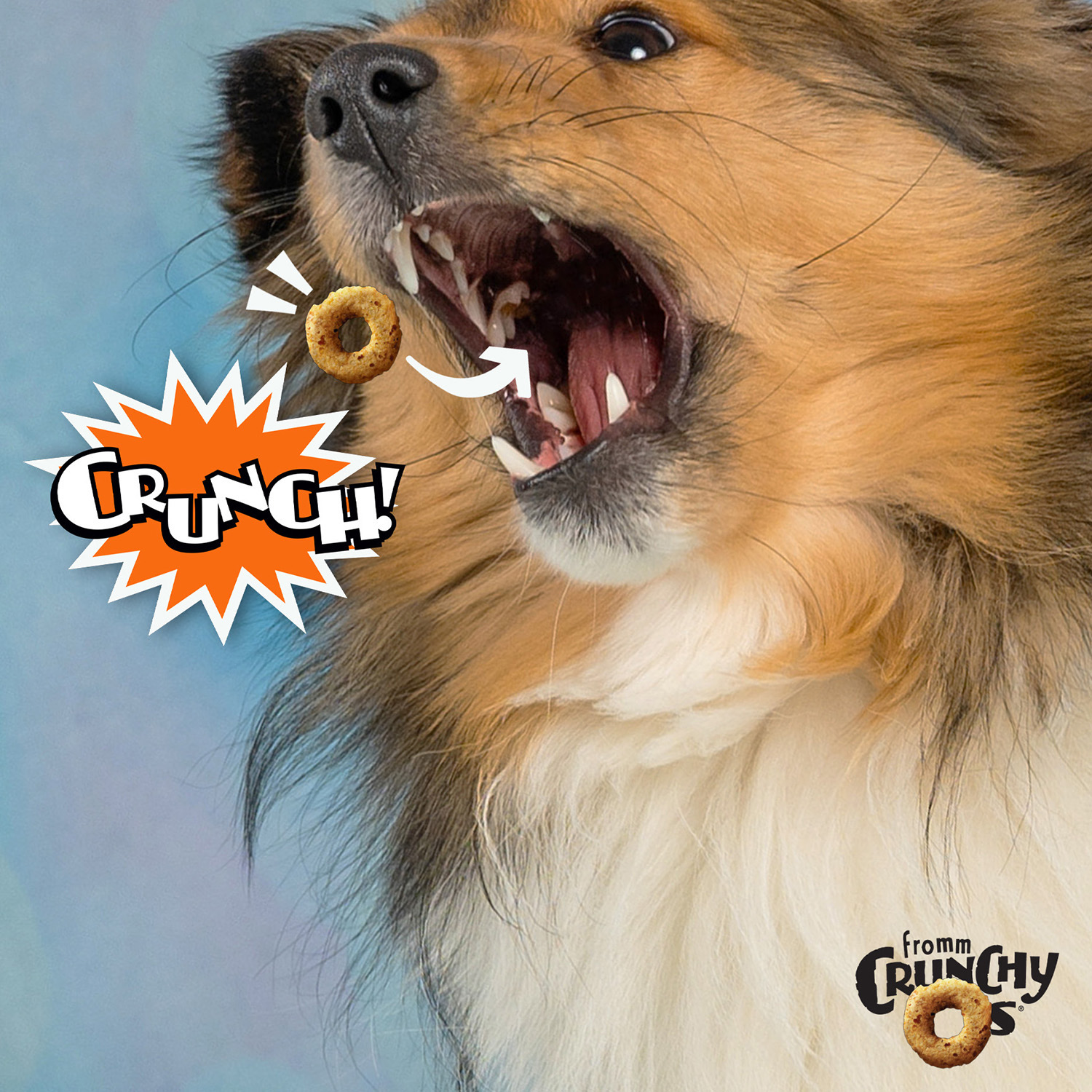 CrunchyOs-Lifestyle-Peanut