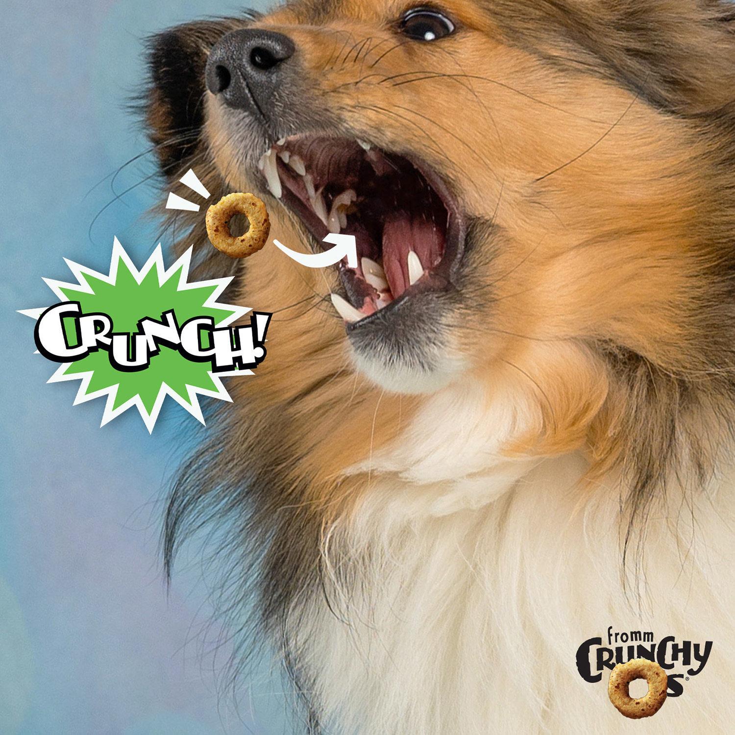 CrunchyOs-Lifestyle-Pumpkin