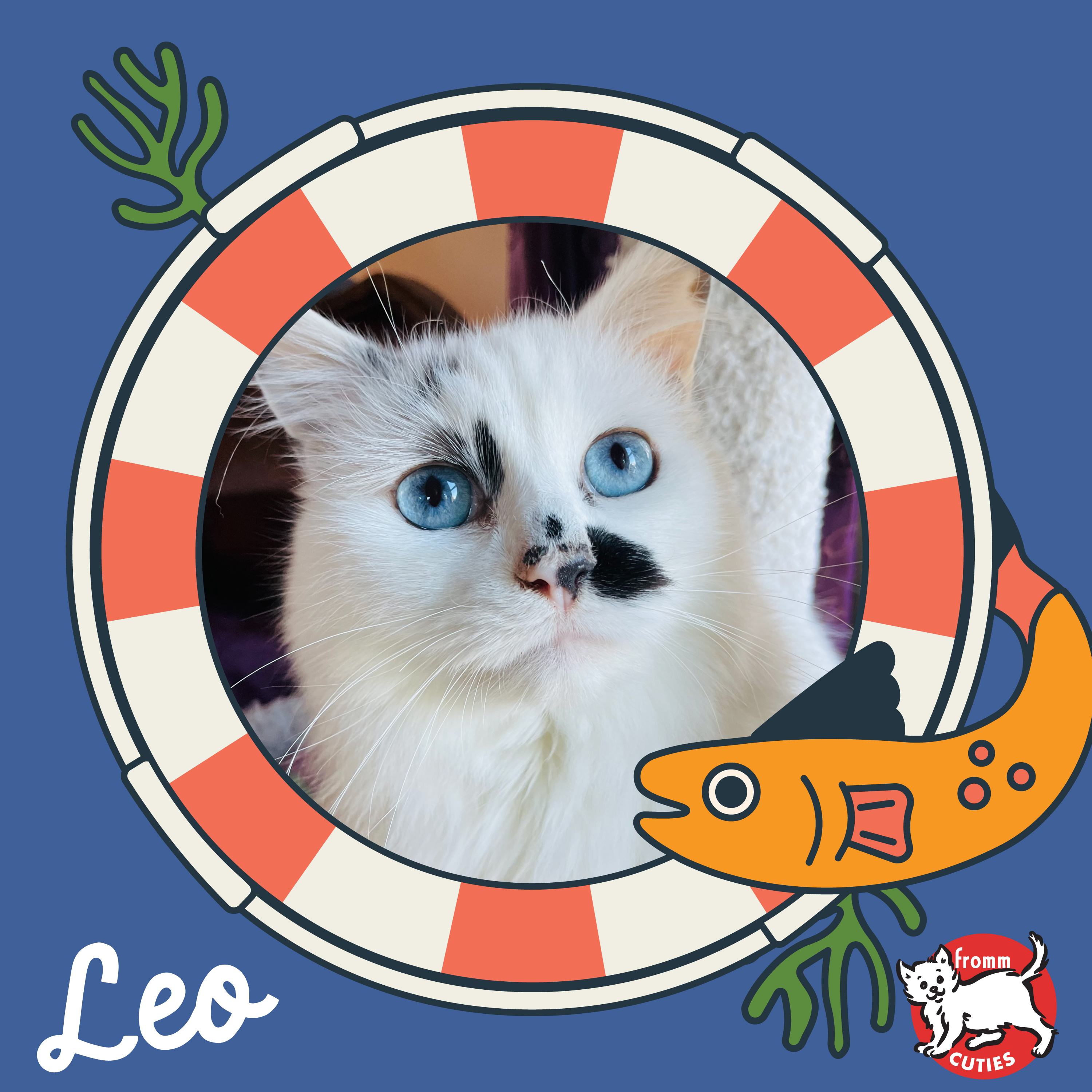 Fromm Cuties. Leo. A white and black spotted short-haired cat with light blue eyes. Cartoon porthole and cute cartoon fish on blue background.