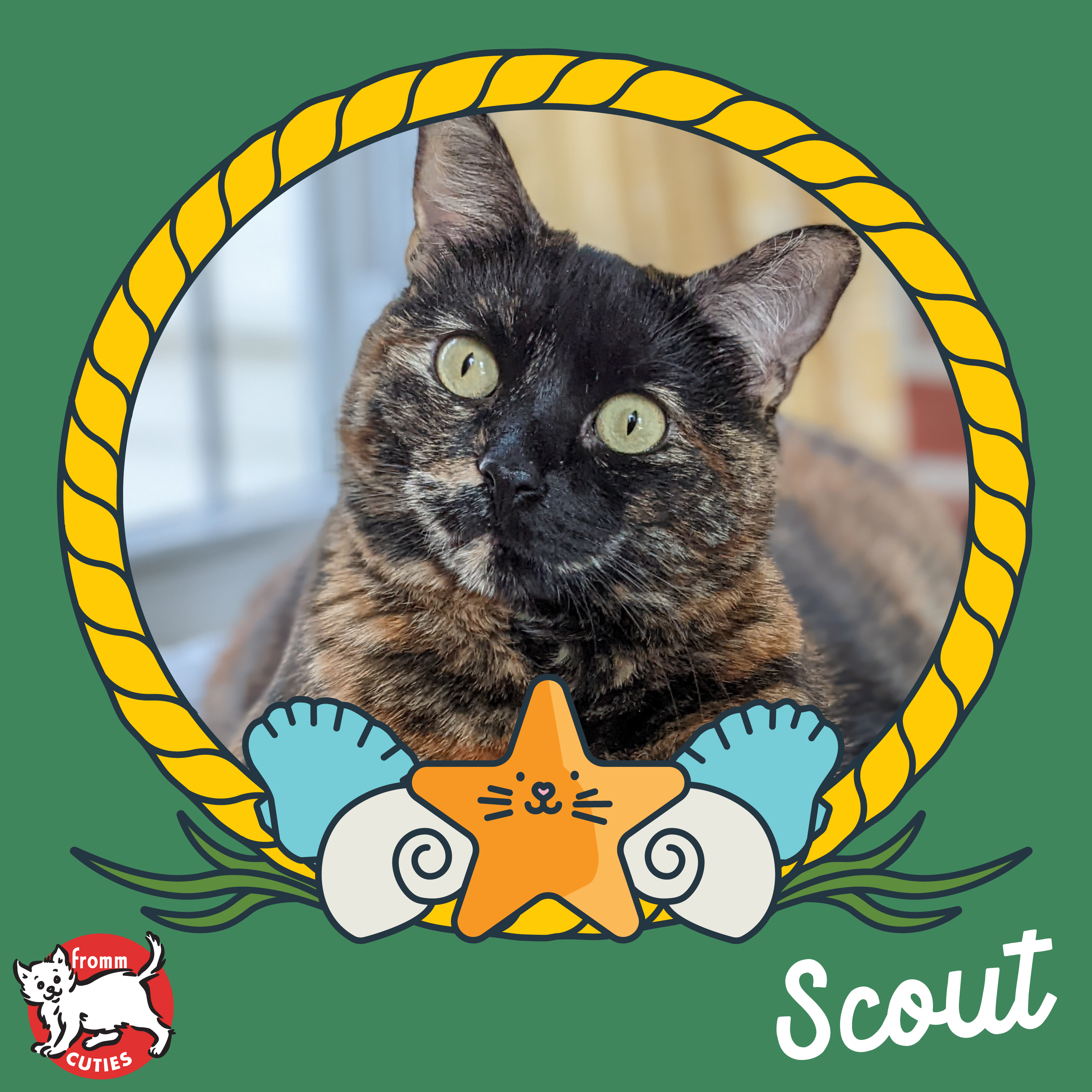 Fromm Cuties. Scout. A black and orange Tortoiseshell short-haired cat with light yellow eyes. Cartoon porthole and cute cartoon marine life on green background.