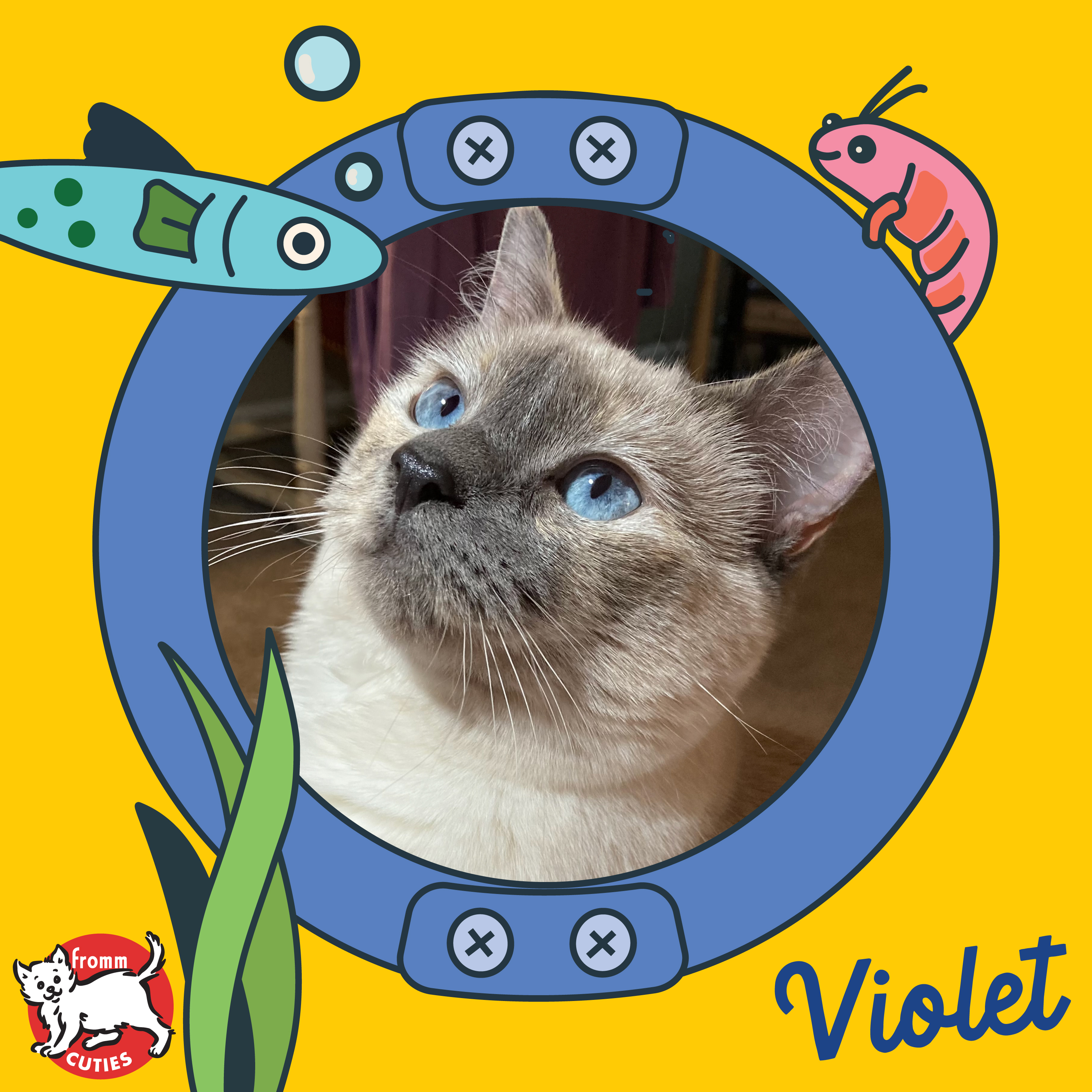 Fromm Cuties. Violet. A white and gray Siamese short-haired cat with light blue eyes. Cartoon porthole and cute cartoon marine life on yellow background.