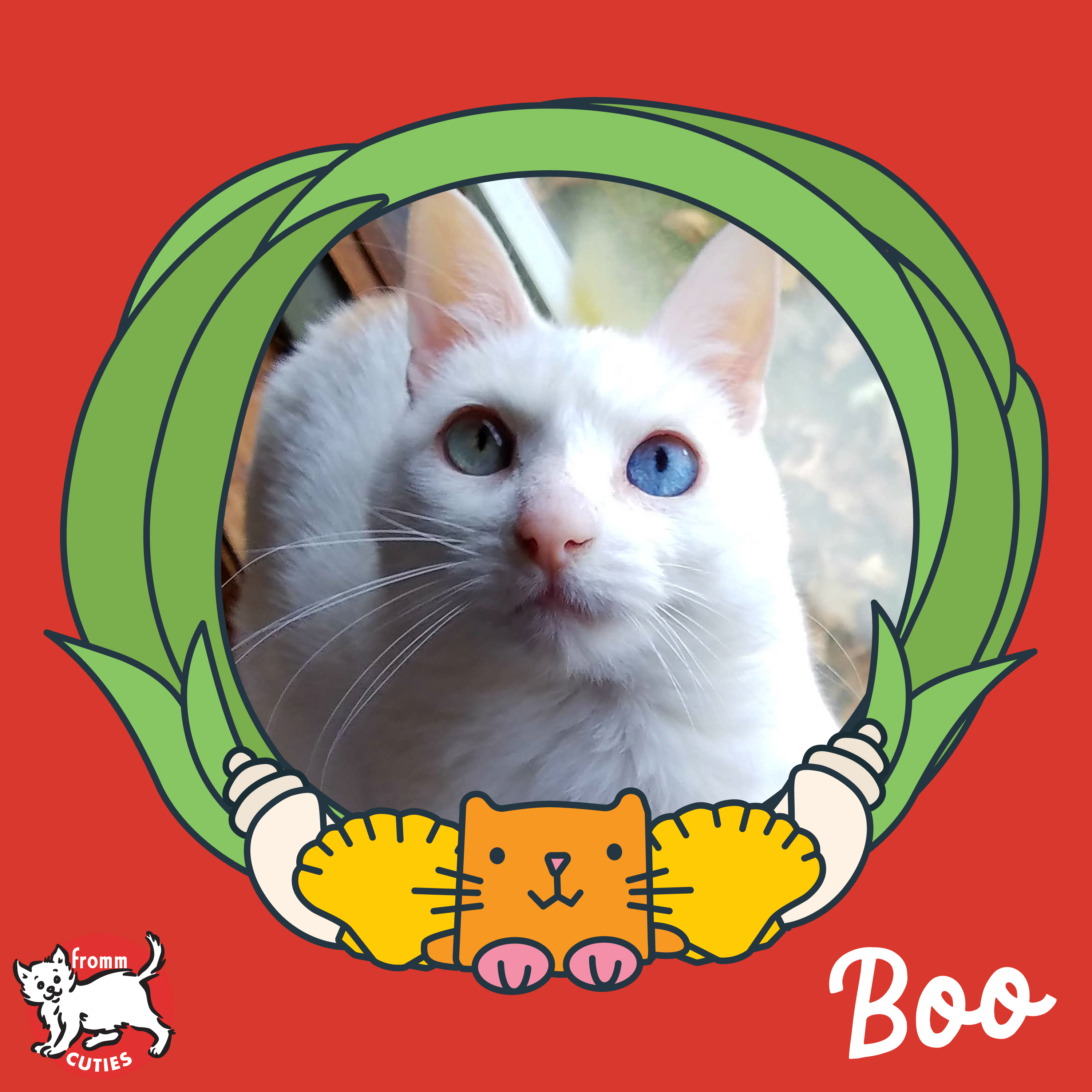 Fromm Cuties. Boo. A white short-haired cat with light blue eyes. Cartoon porthole and cute cartoon cat and shells on red background.