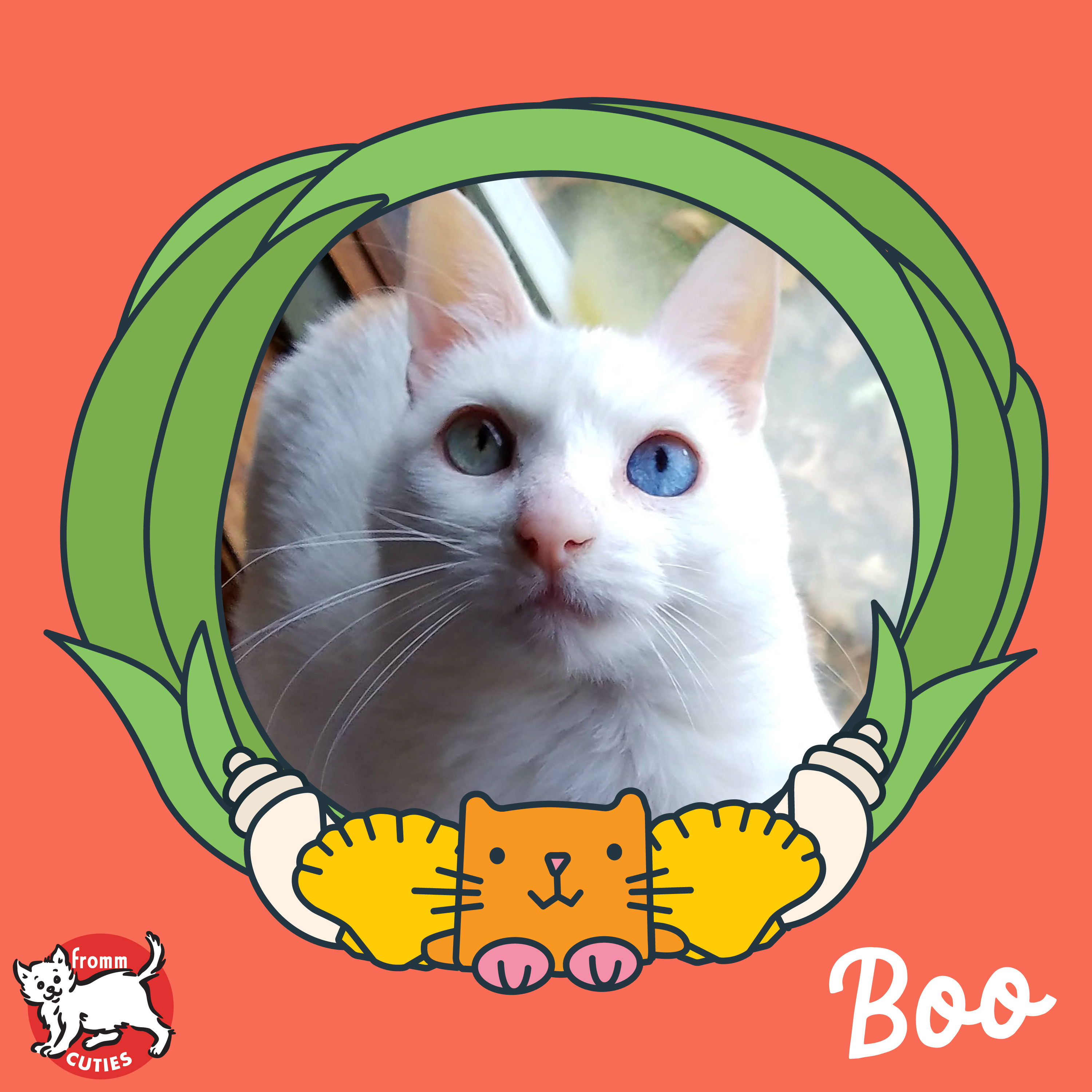 Fromm Cuties. Boo. A white short-haired cat with light blue eyes. Cartoon porthole and cute cartoon cat and shells on light red background.