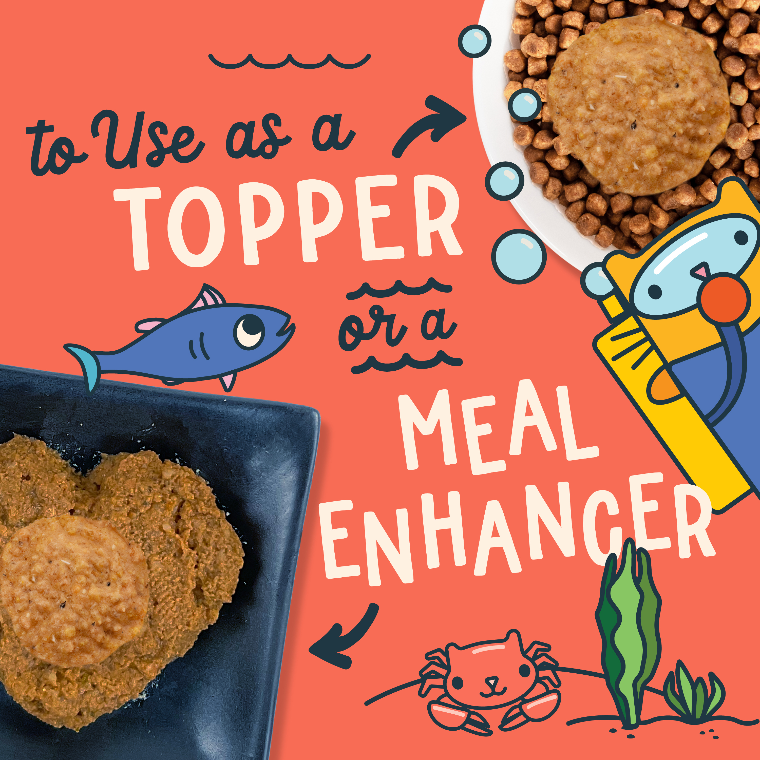 Images of dry and canned cat food with Fromm Fish Market Trout Pâté Cat Food Mixer on top. To use as a topper or a meal enhancer. Cute cartoon cats and marine life on light red background.