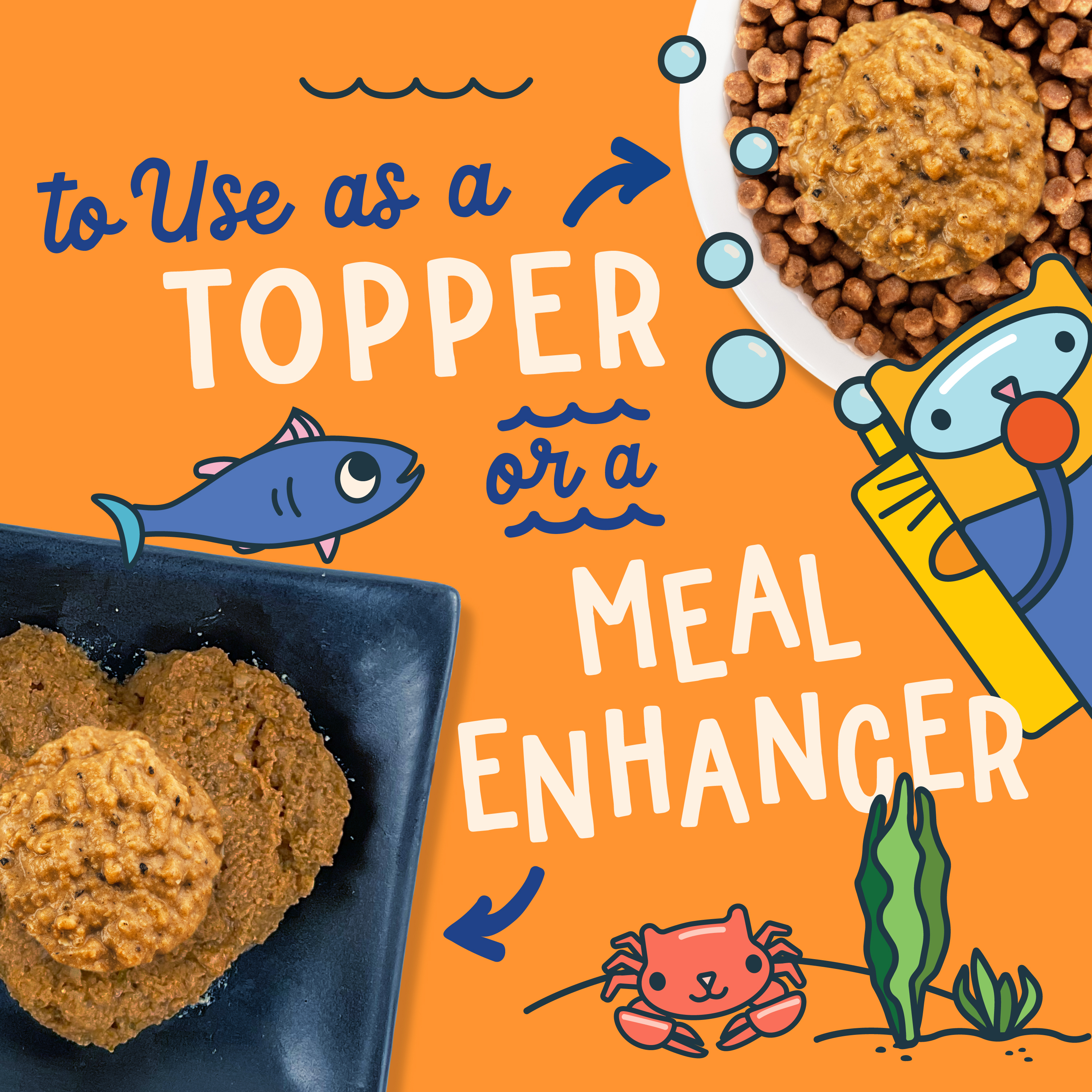 Images of dry and canned cat food with Fromm Fish Market Whitefish & Anchovy Pâté Cat Food Mixer on top. To use as a topper or a meal enhancer. Cute cartoon cats and marine life on orange background.