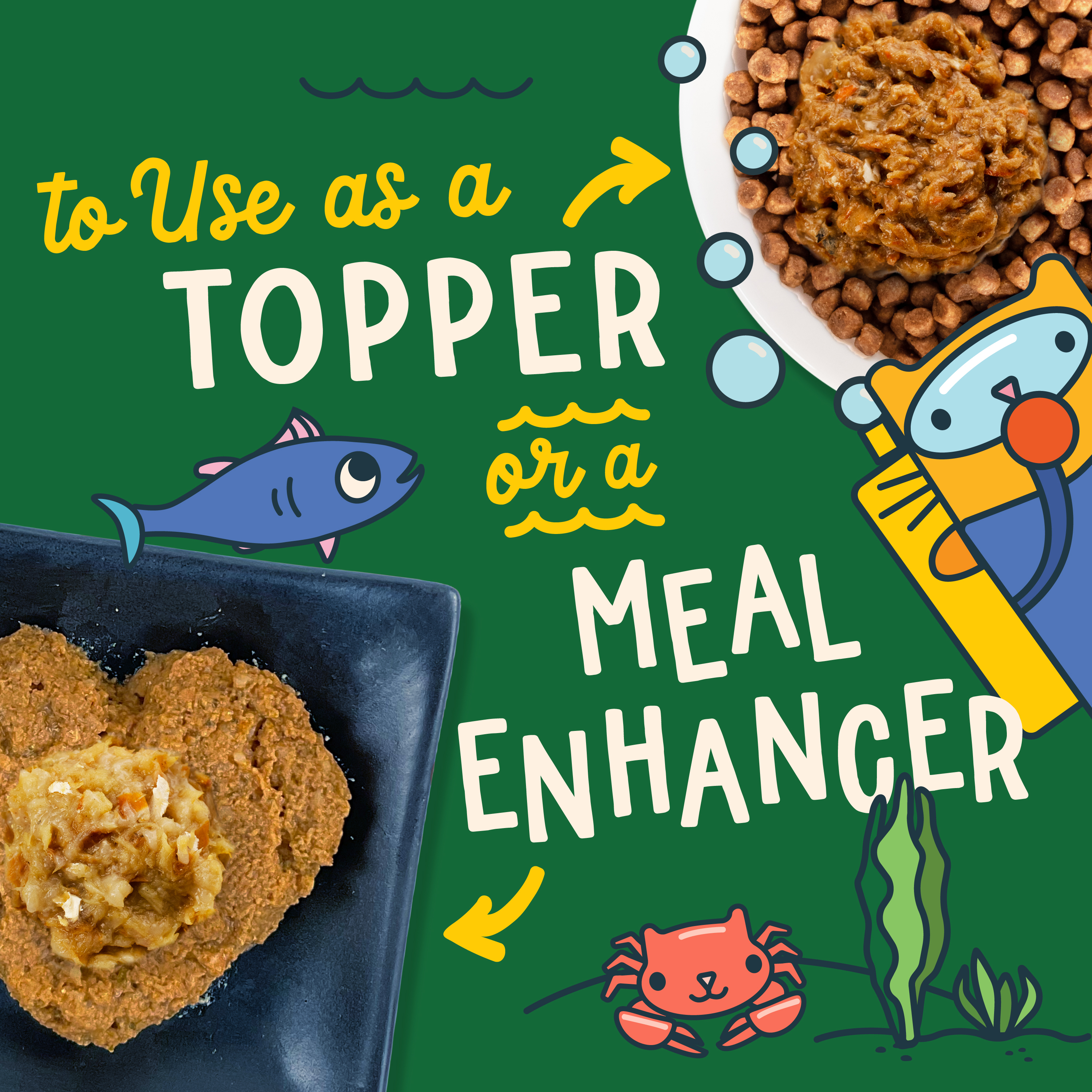 Images of dry and canned cat food with Fromm Fish Market Gelée Recipe Cat Food Mixers on top. To use as a topper or a meal enhancer. Cute cartoon cats and marine life on green background.