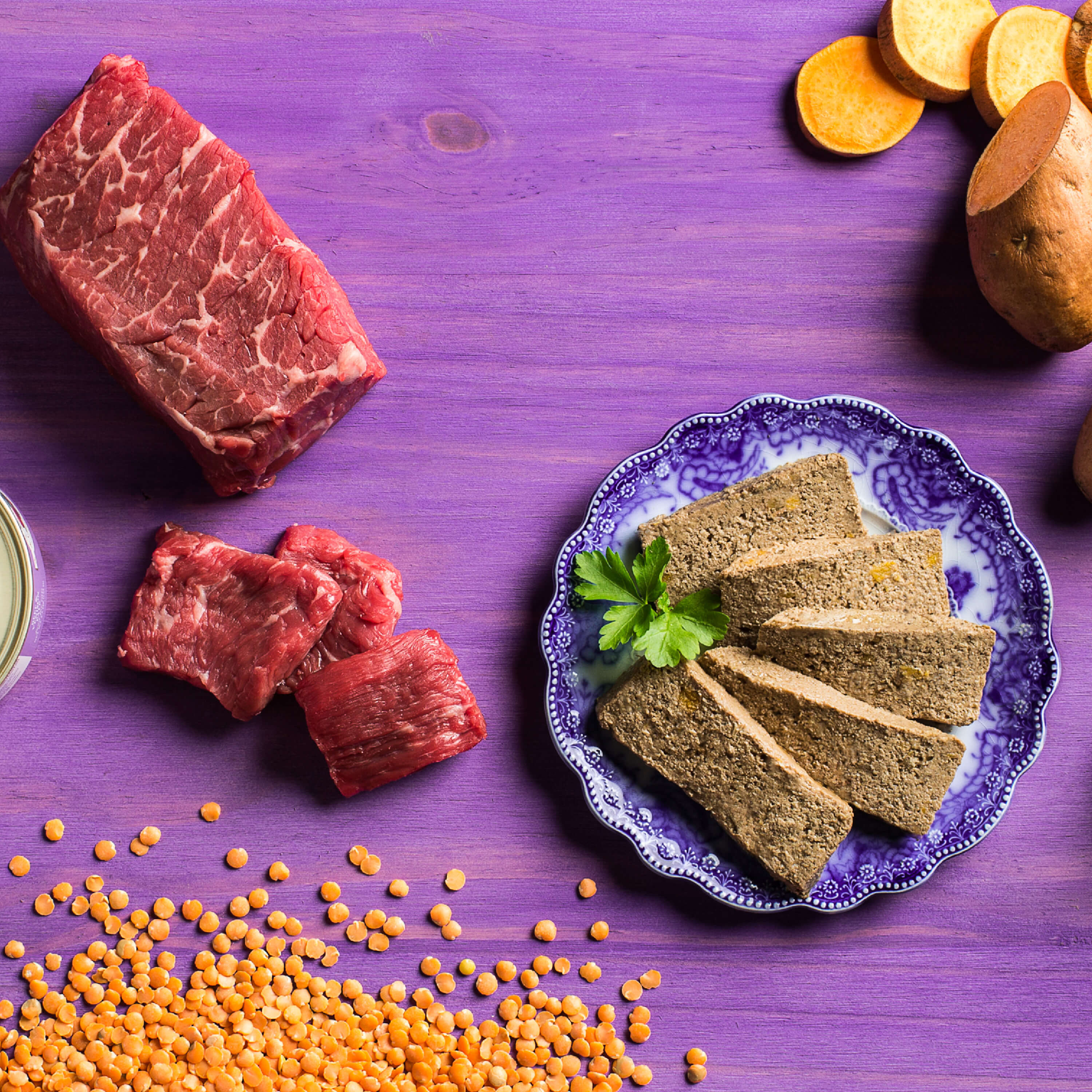 FourStarCatCan-pate-Lifestyle_BeefVenison