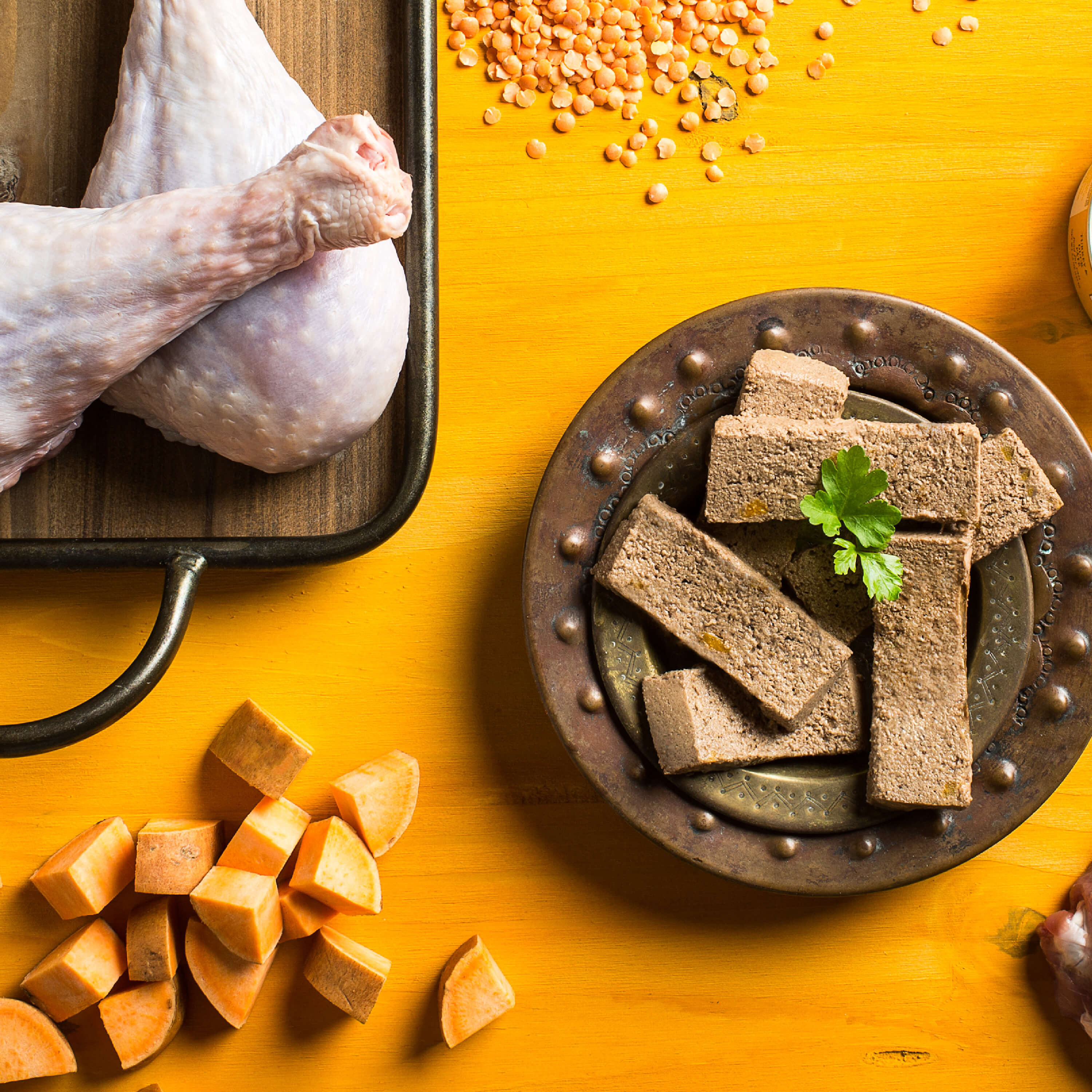 FourStarCatCan-pate-Lifestyle_TurkeyDuck