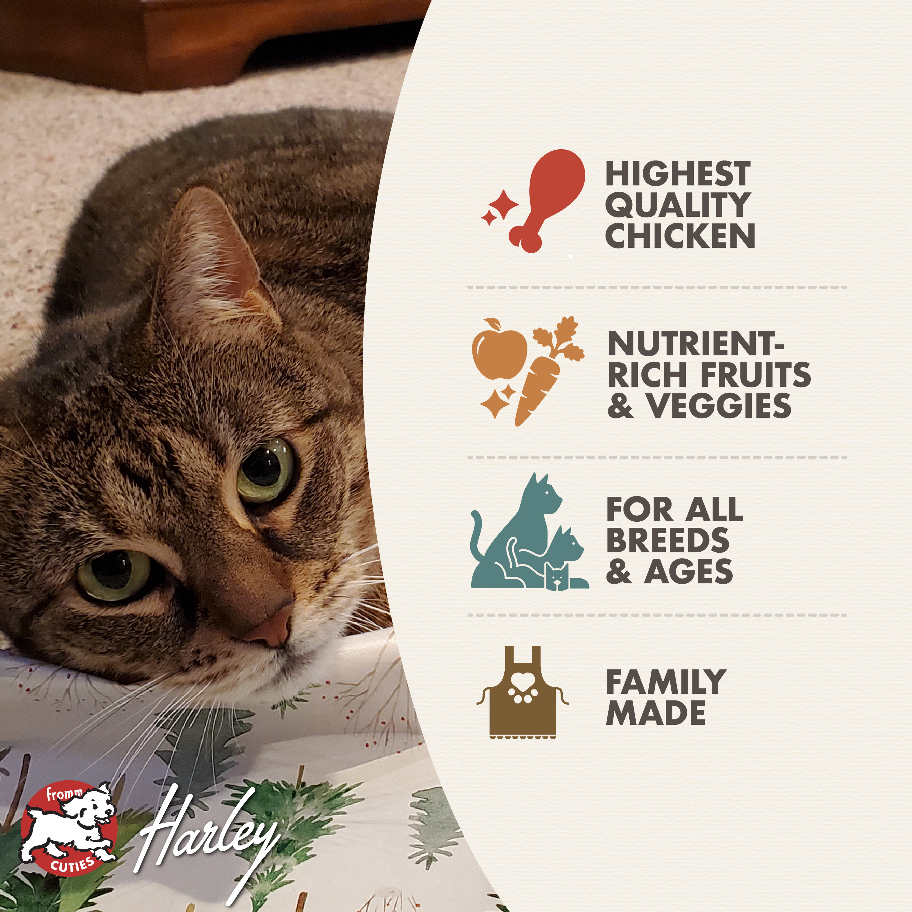 FourStarCatDry_Features_Chicken