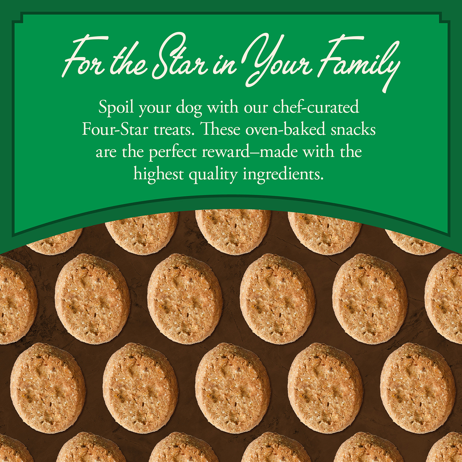 Fromm Four-Star Nutritionals® Lamb with Cranberry Recipe Treats