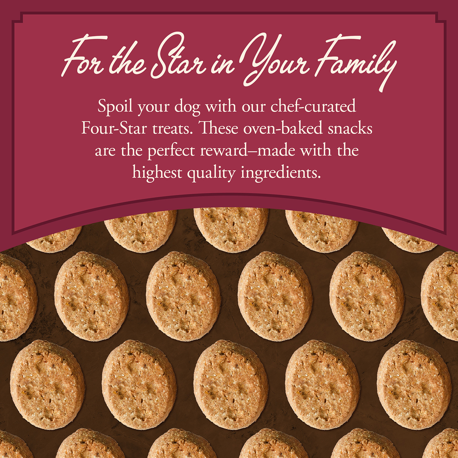 FourStarTreat-Feeding_salmon
