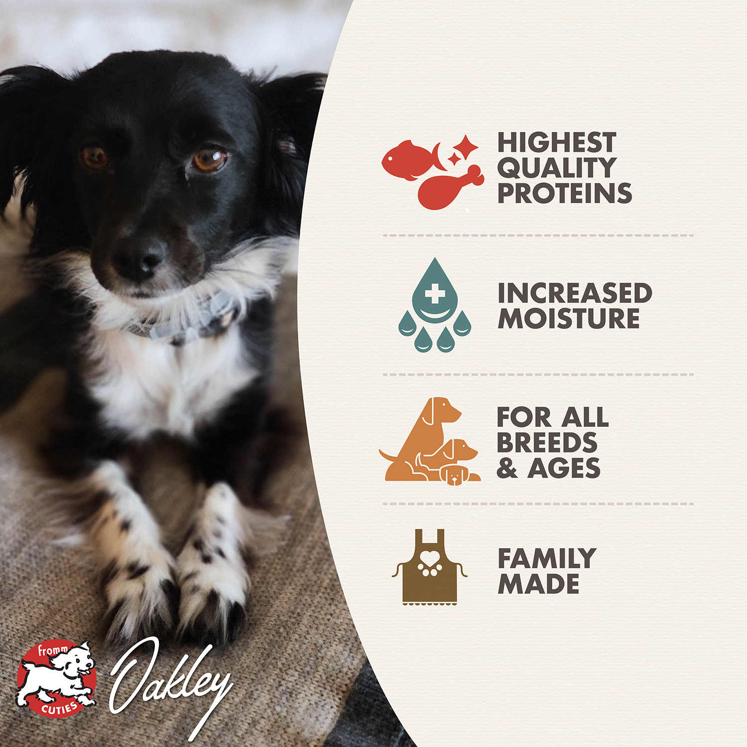 Fromm Family Gold Salmon & Chicken Pâté Food for Dogs | GoFromm
