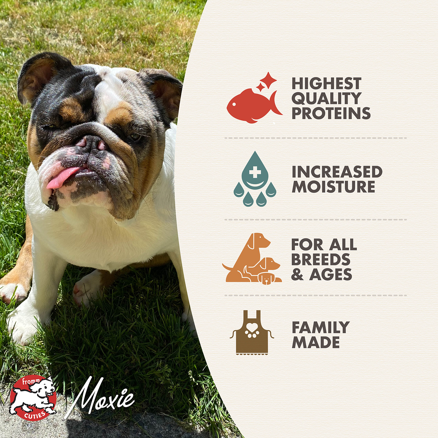 ドッグフード Mumomi Seafood Medley Pâté Dog Food | GoFromm.com - Fromm Pet Food