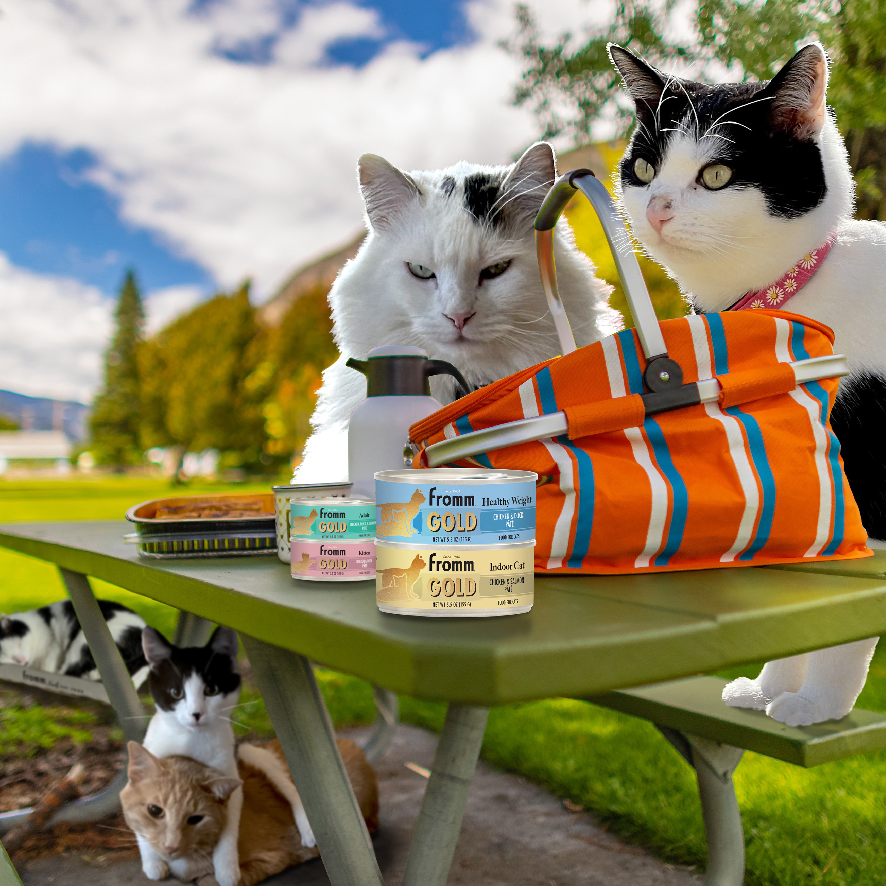 GoldCatCan_Lifestyle_picnic