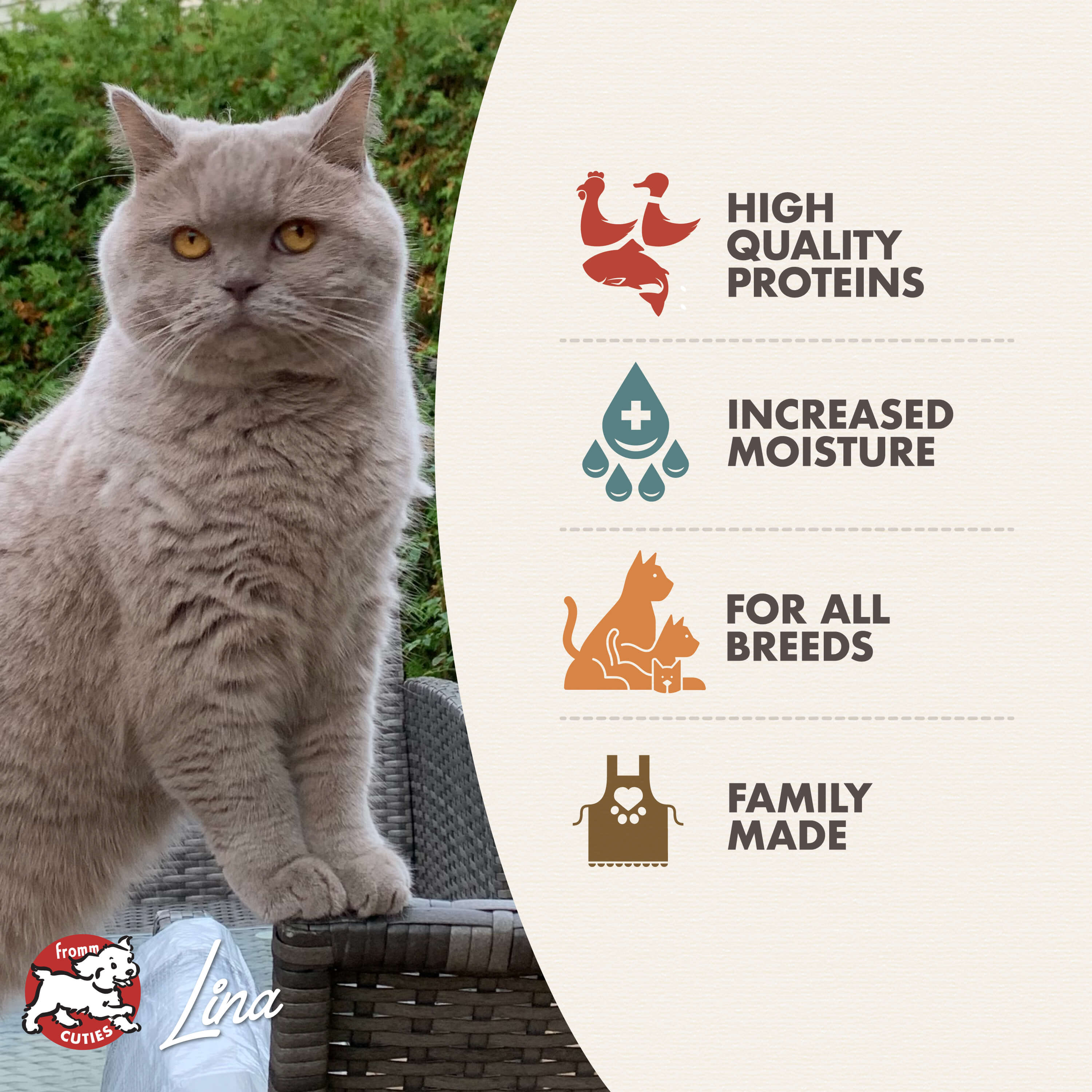 GoldCatCan_features_features-adult