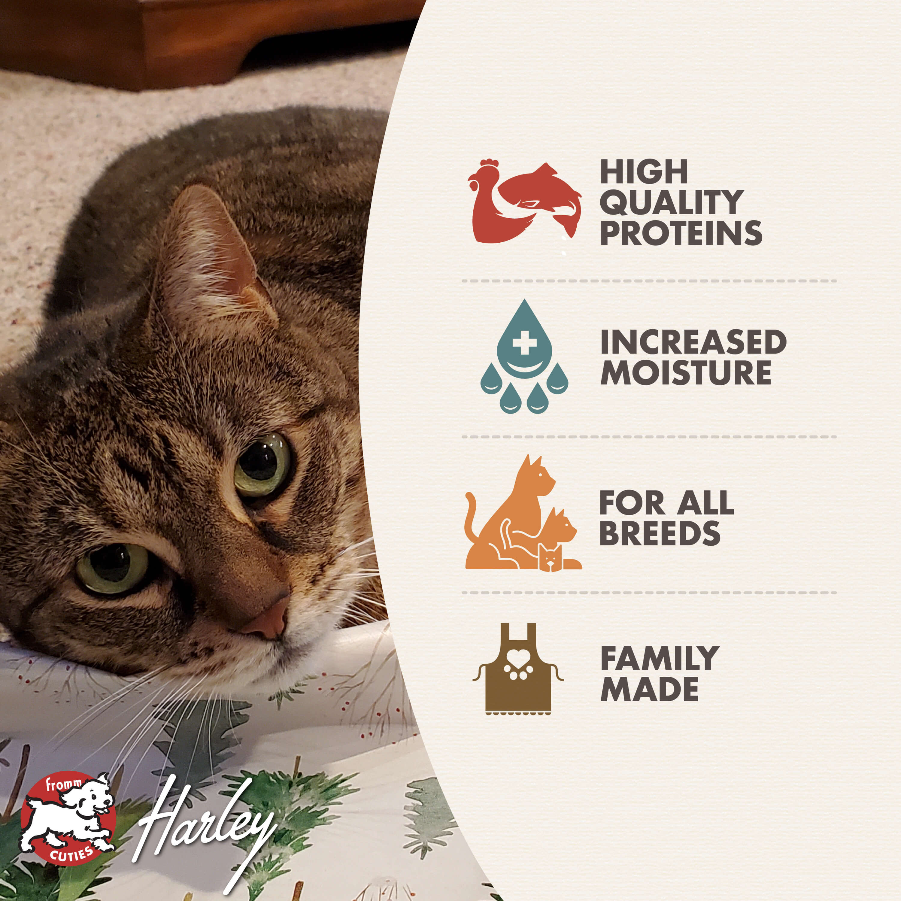 Fromm® Indoor Gold Chicken and Salmon Pâté Cat Food | GoFromm.com