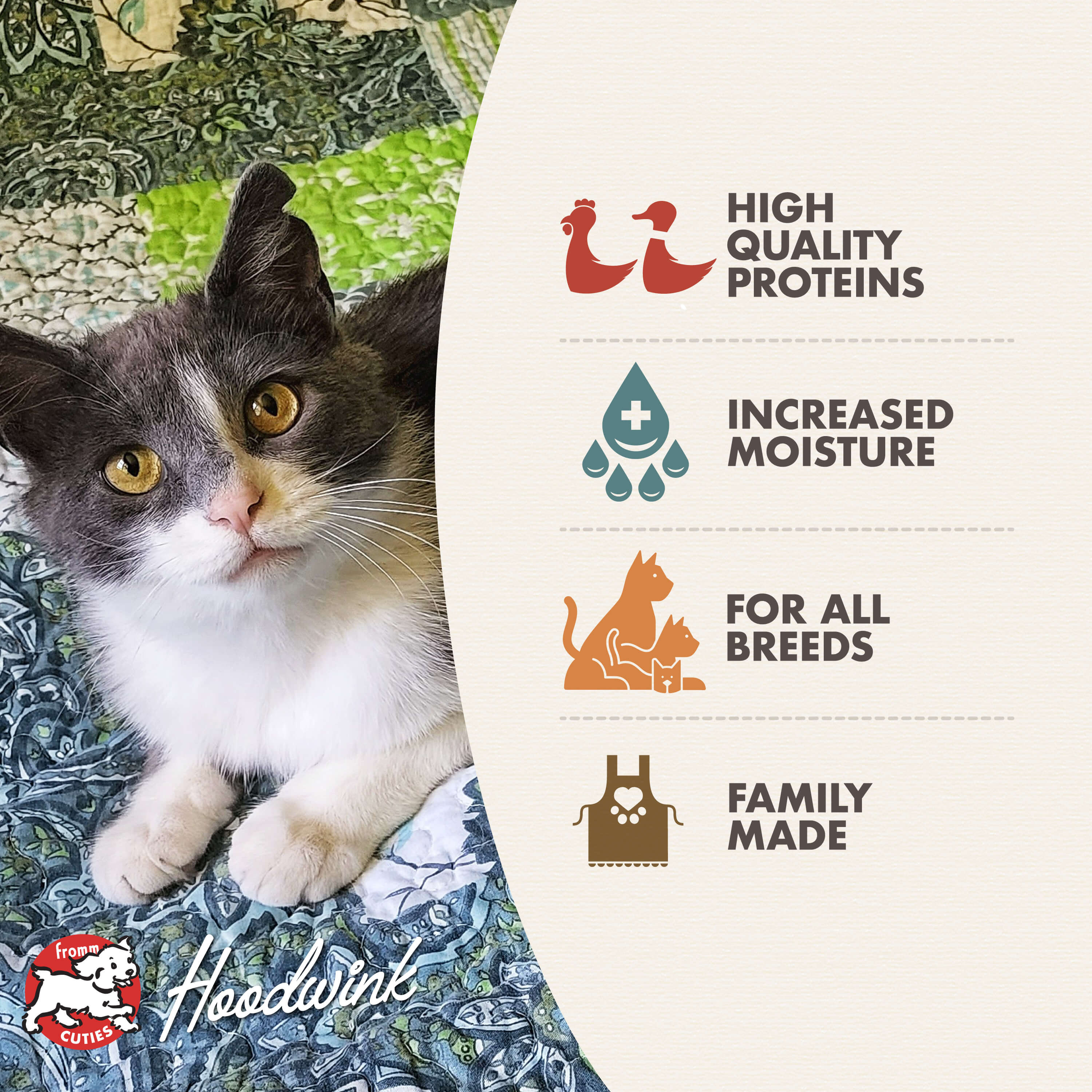 GoldCatCan_features_features-kitten