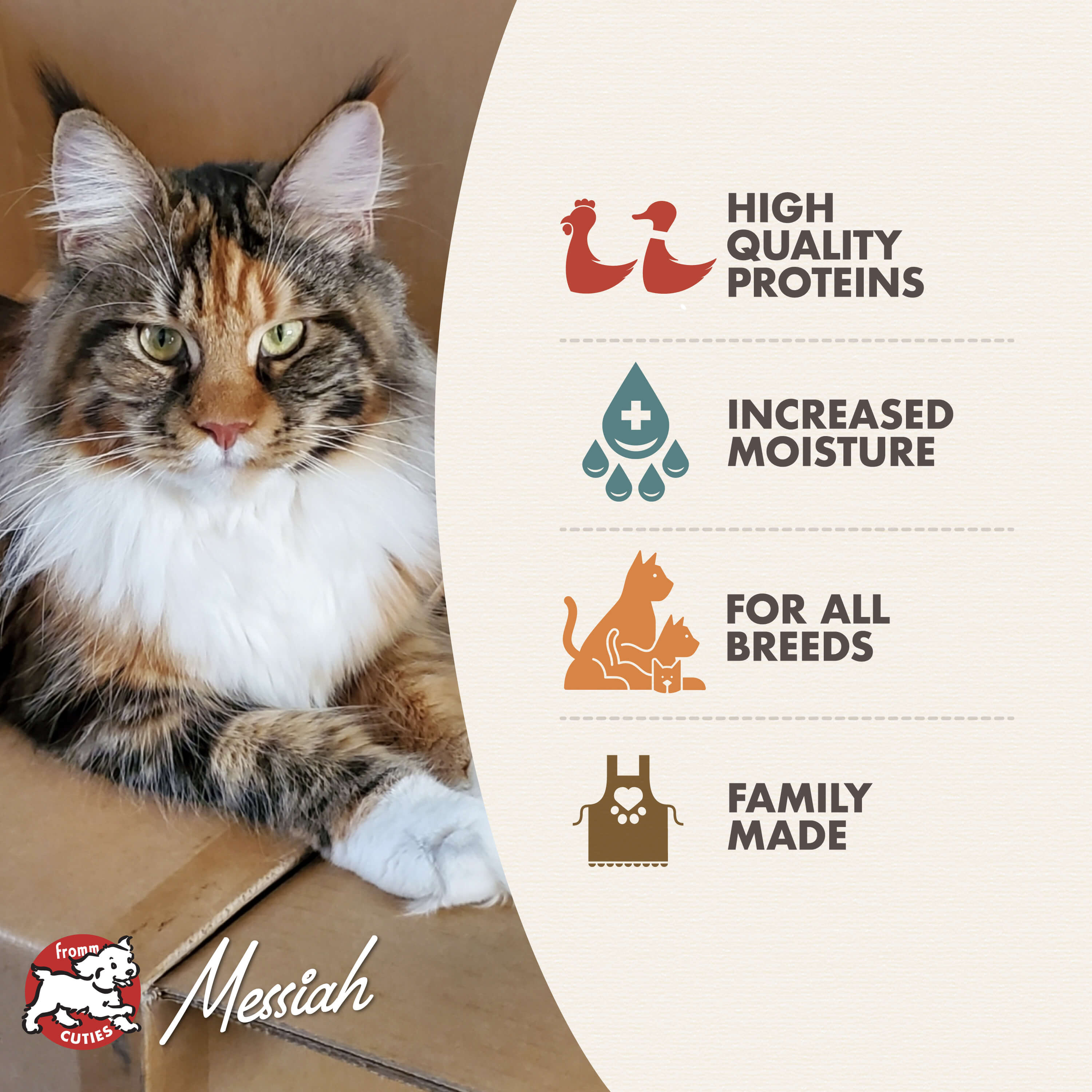 GoldCatCan_features_features-weight