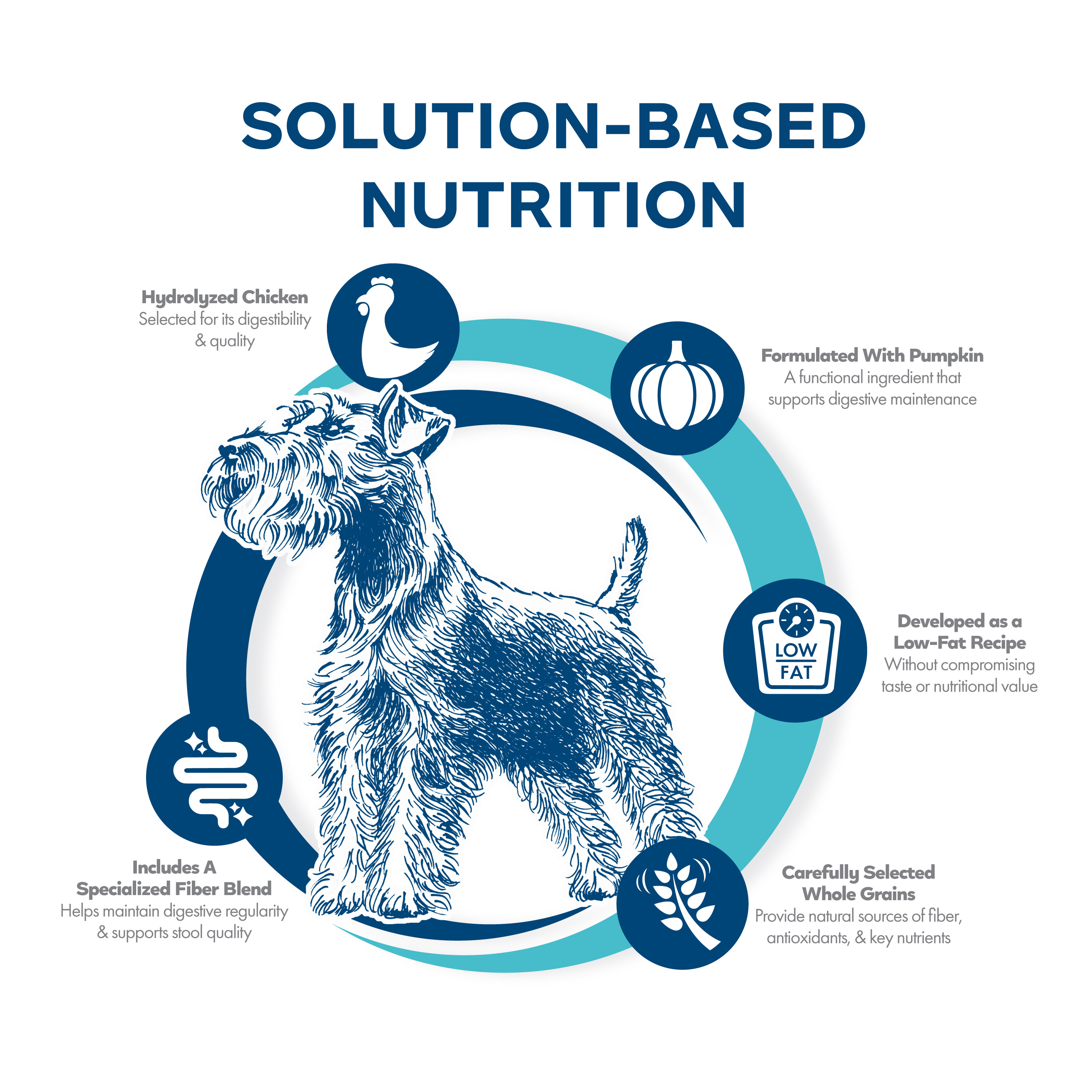 Nutritionals-Dog-Dry_icon_infographic_digestive