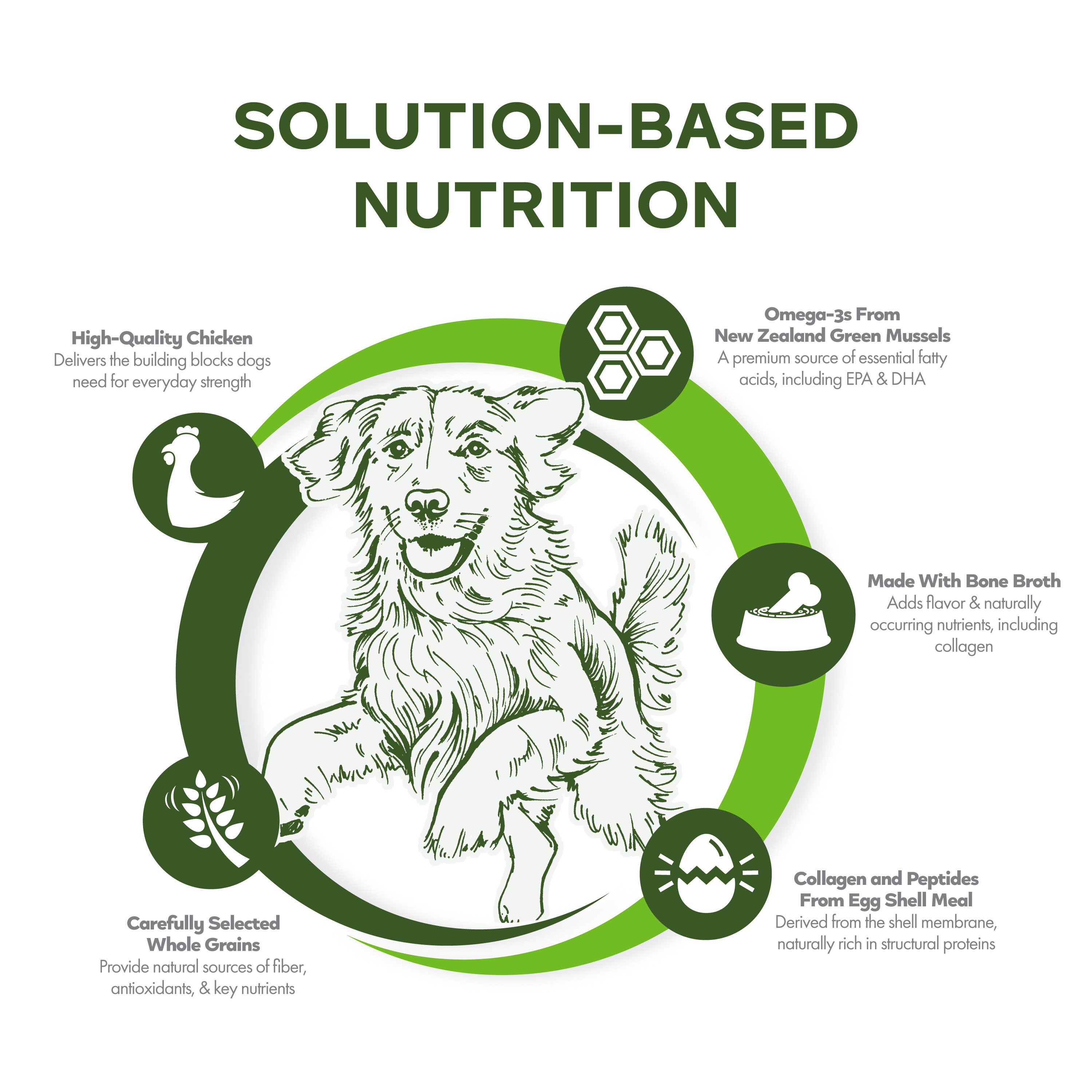Nutritionals-Dog-Dry_icon_infographic_mobility