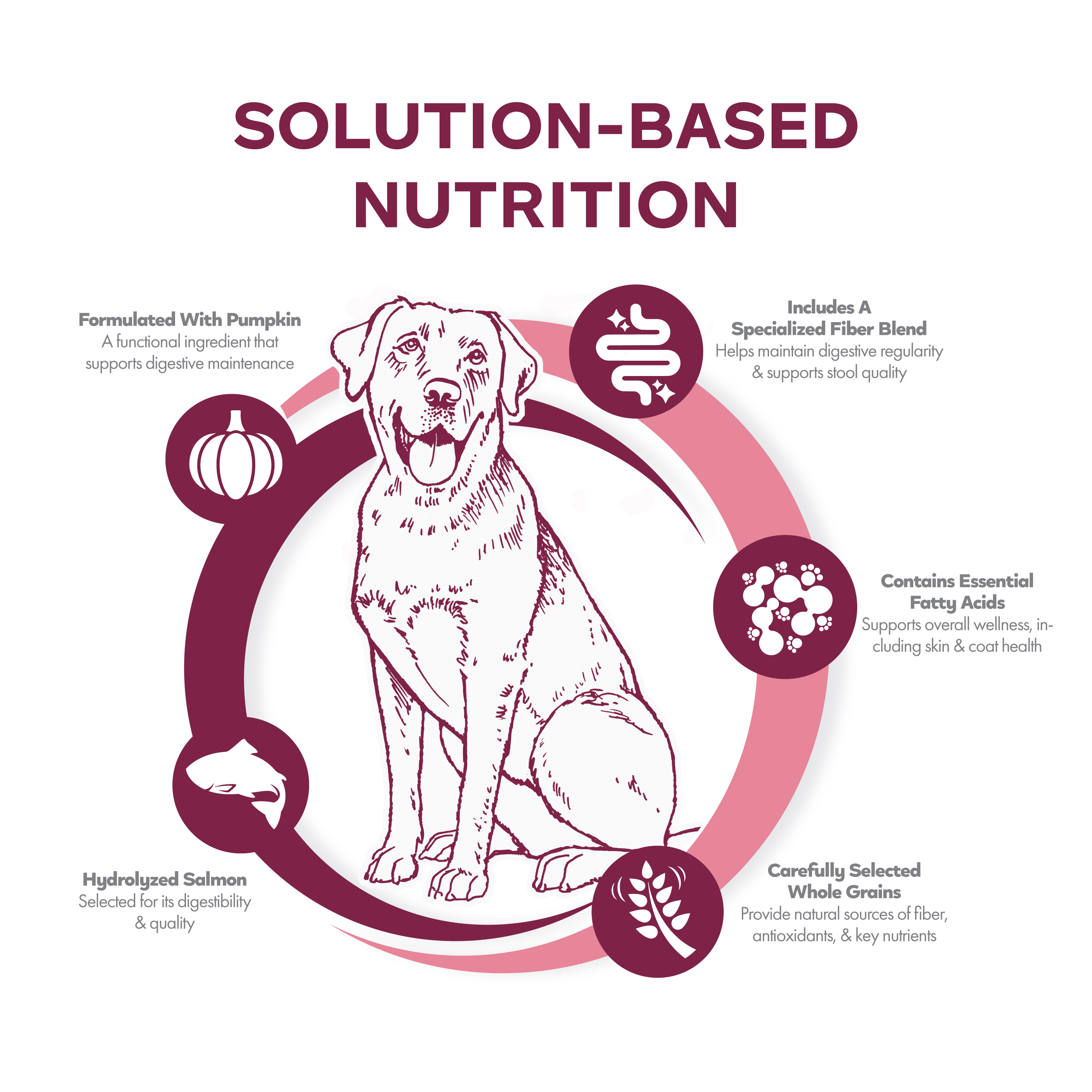 Nutritionals-Dog-Dry_icon_infographic_sensitive-skin