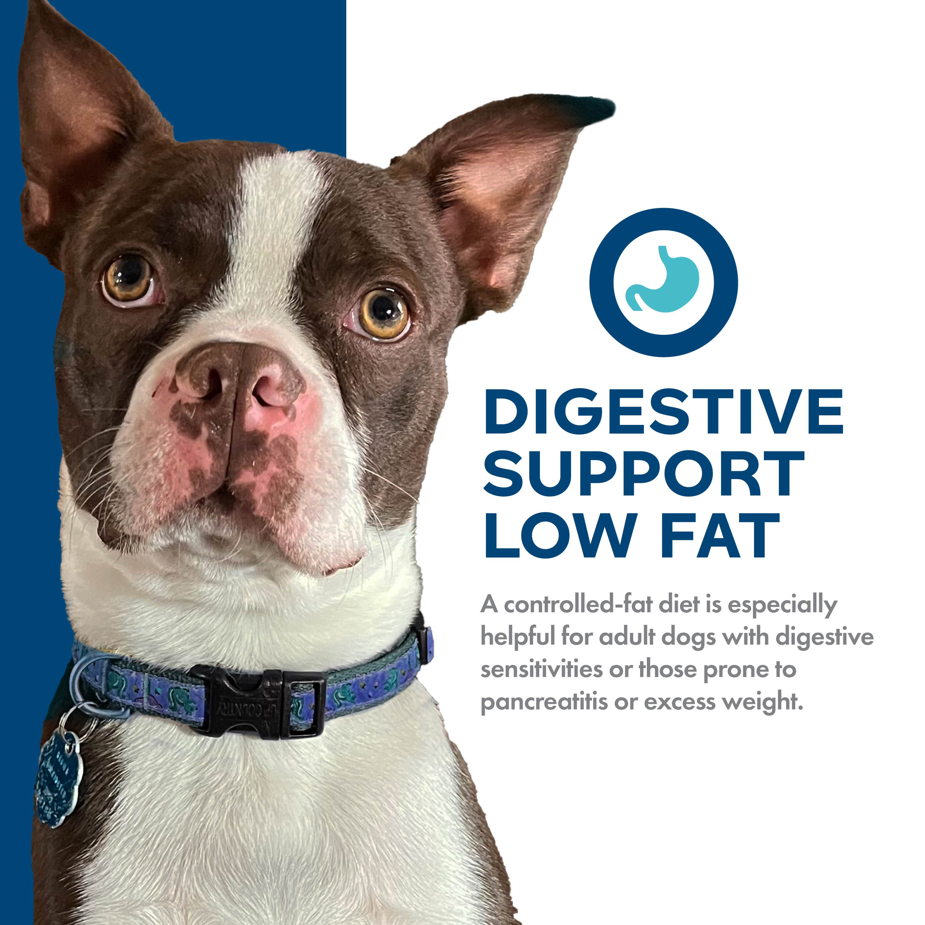 Nutritionals-Dog-Dry_usage_digestive