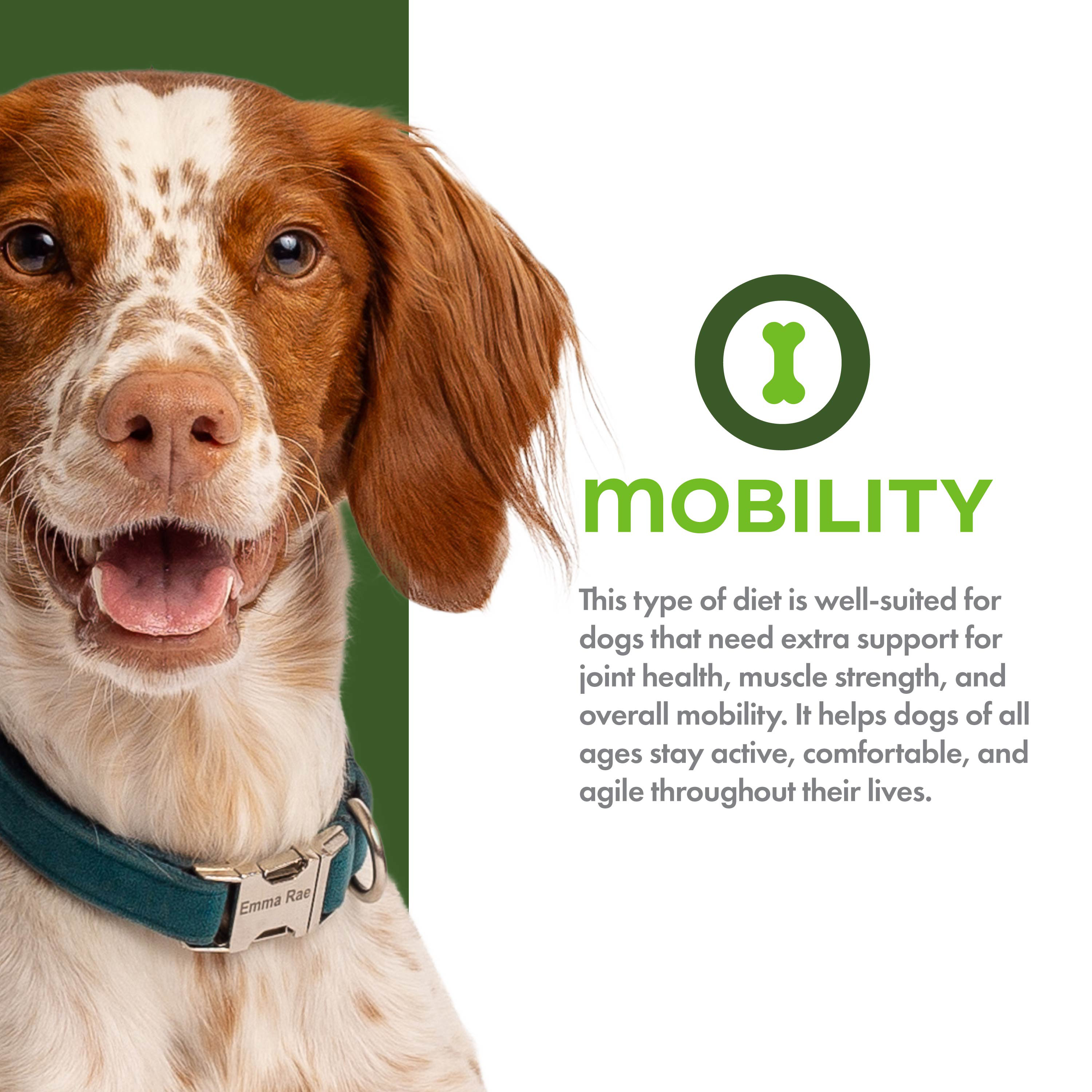 Nutritionals-Dog-Dry_usage_mobility