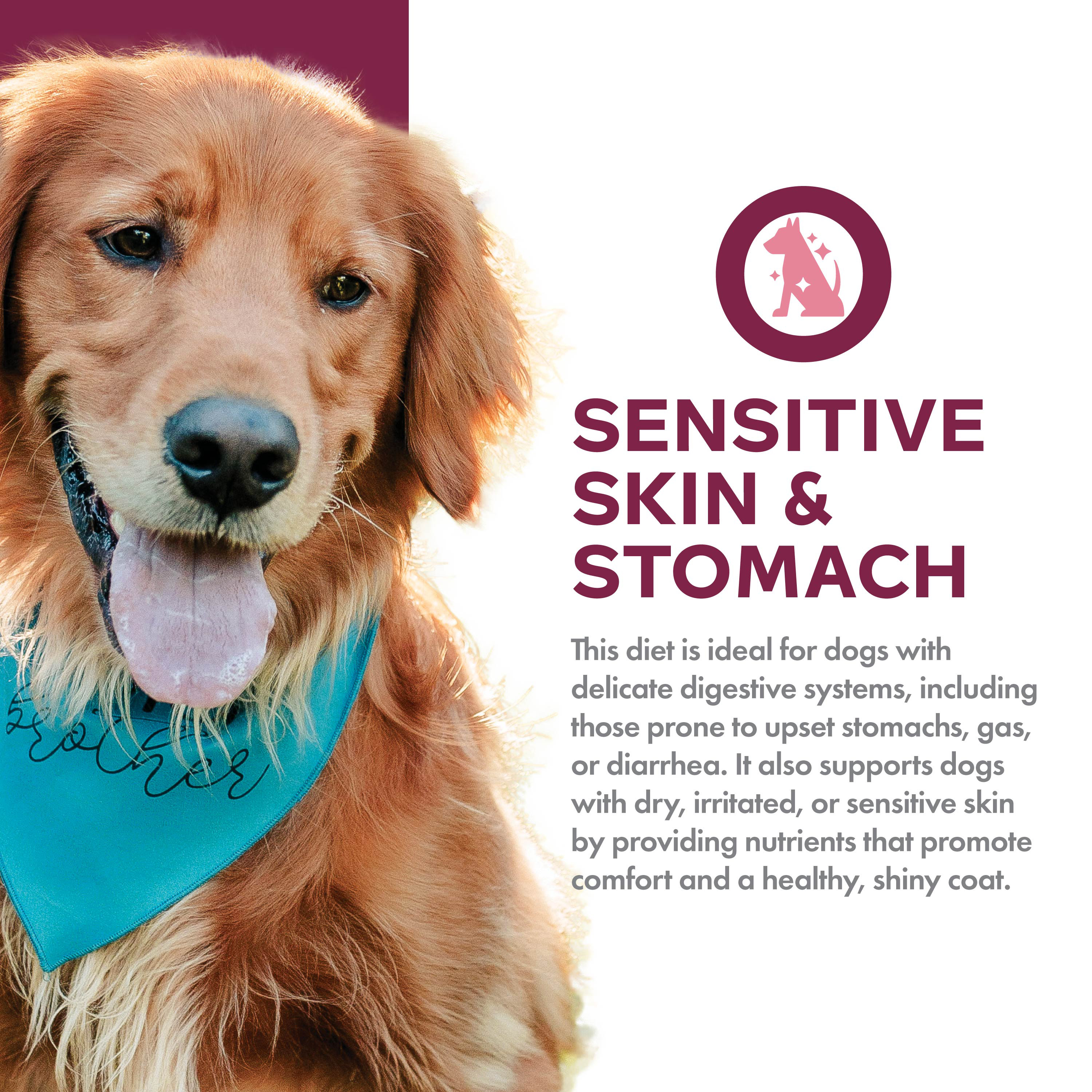 Nutritionals-Dog-Dry_usage_sensitive-skin