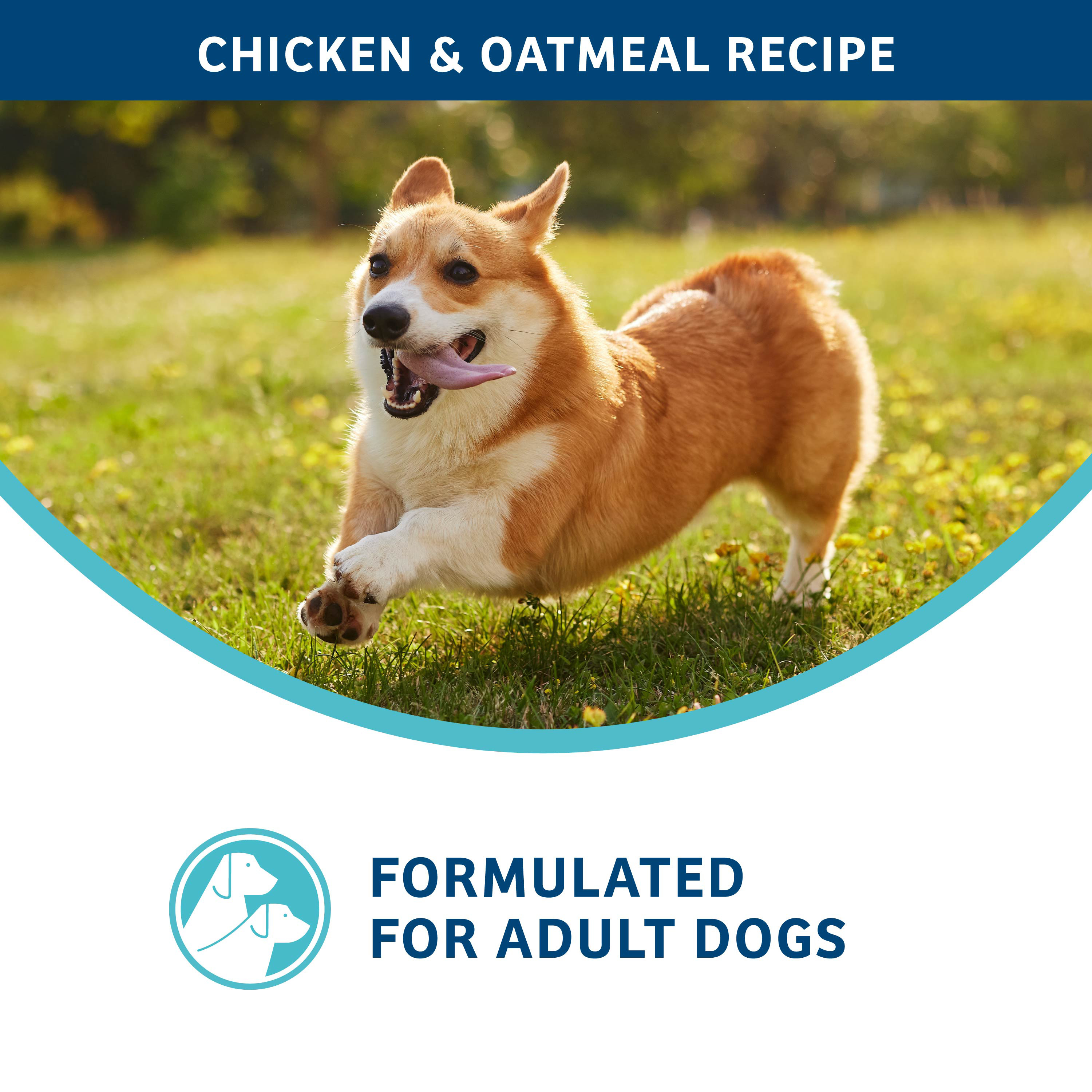 Nutritionals-dog-dry-Formulated_digestive
