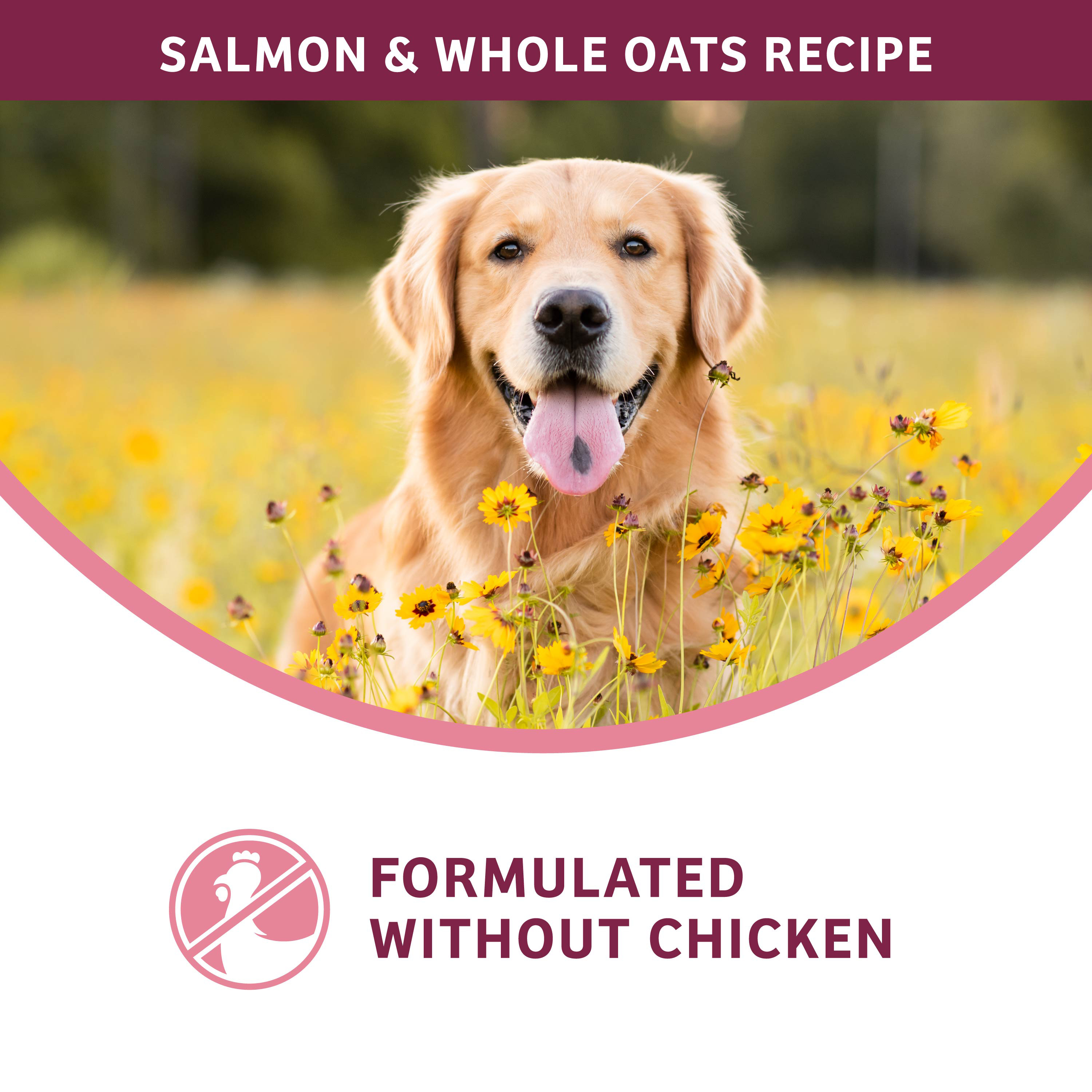 Nutritionals-dog-dry-Formulated_sensitive-skin