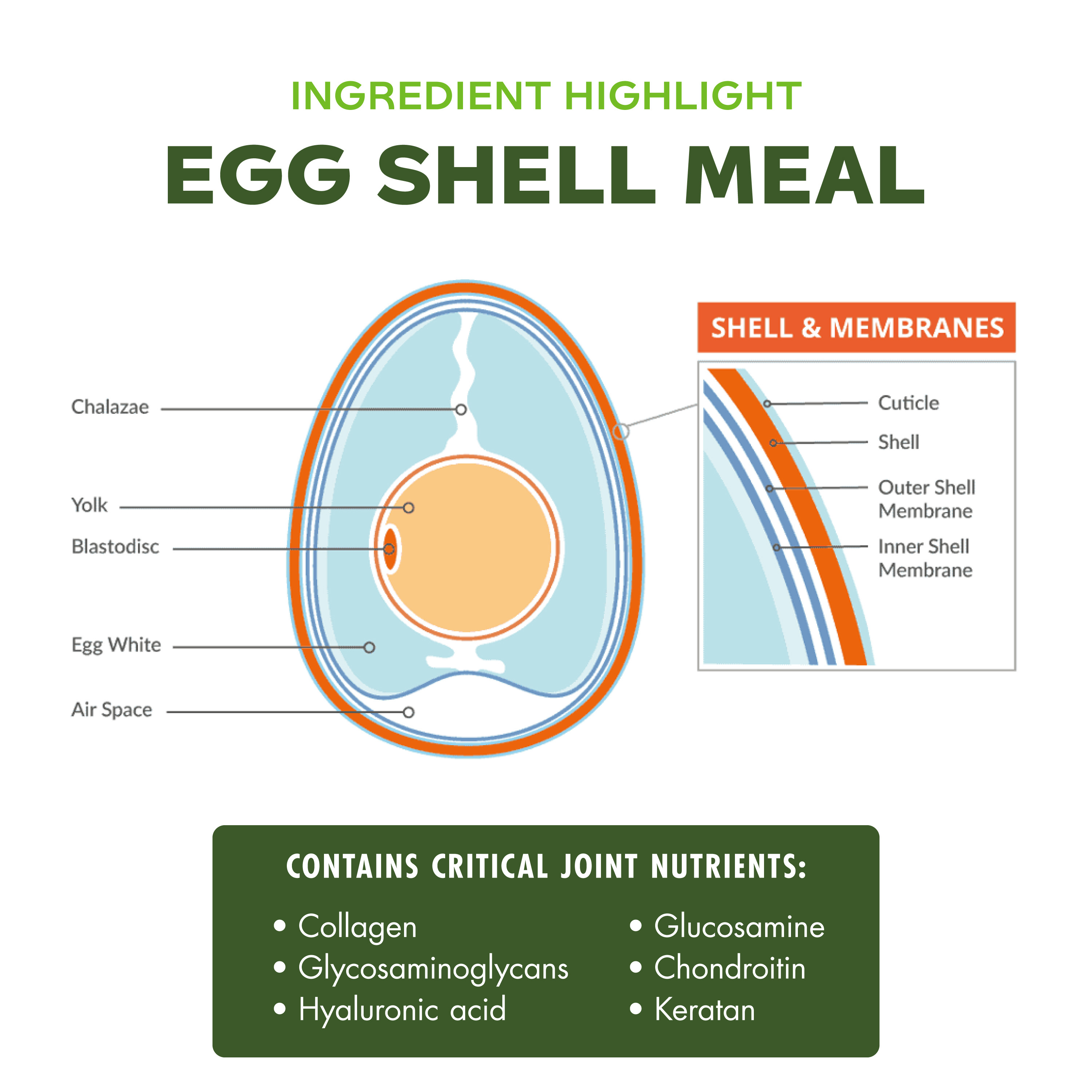 Nutritionals_Egg%20Shell%20Meal_Mobility_01