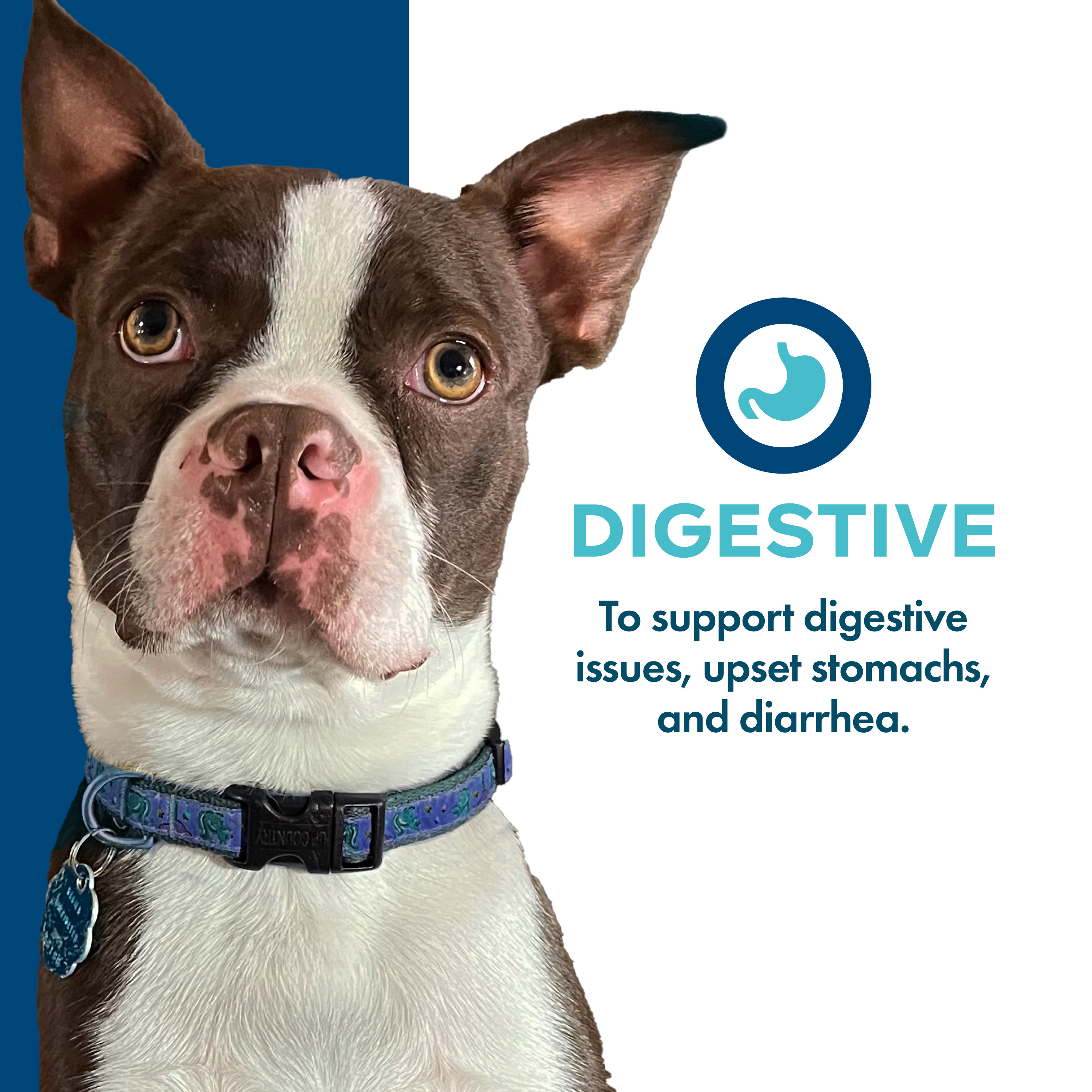 Nutritionals_usage_Amazon_digestive