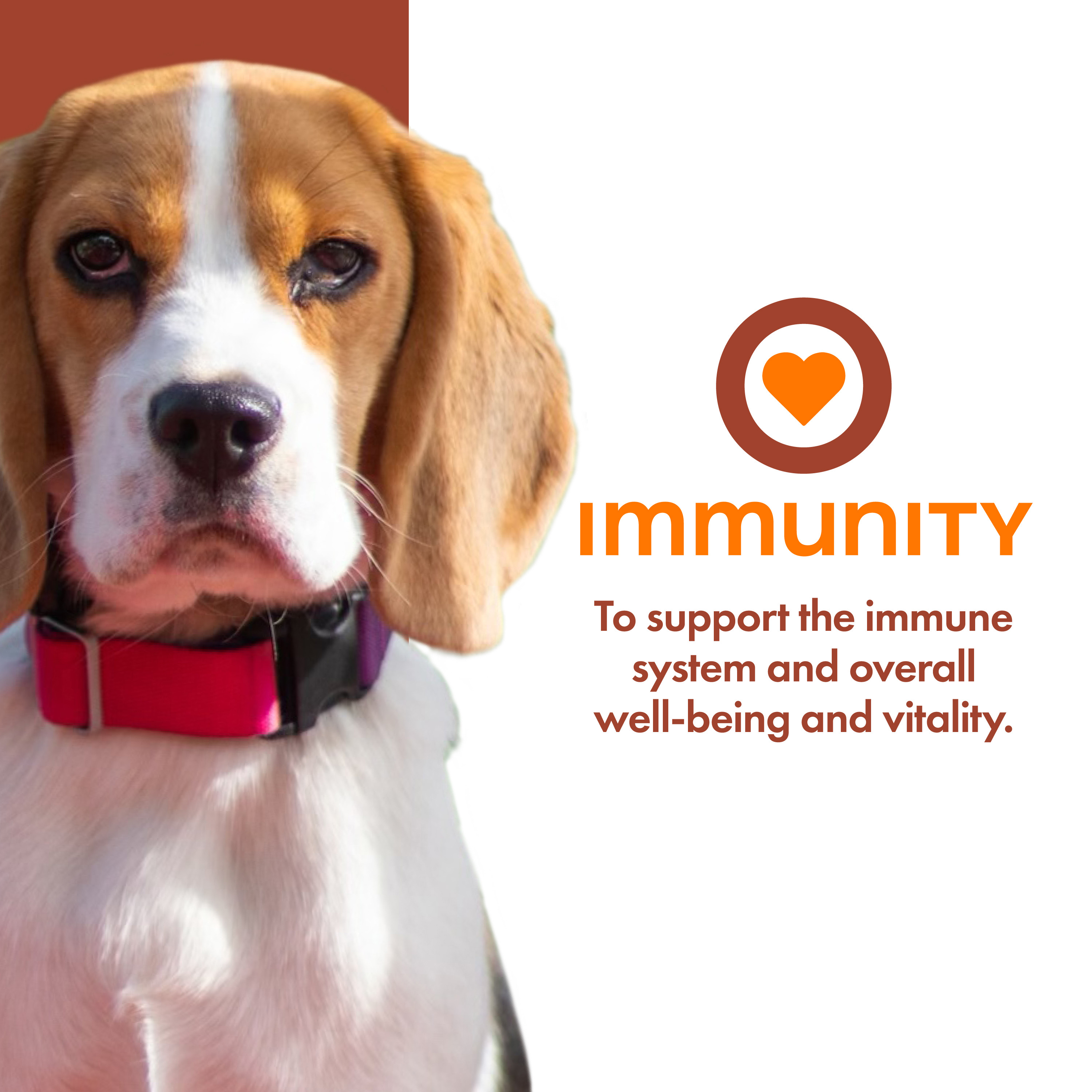 Nutritionals_usage_Amazon_immunity