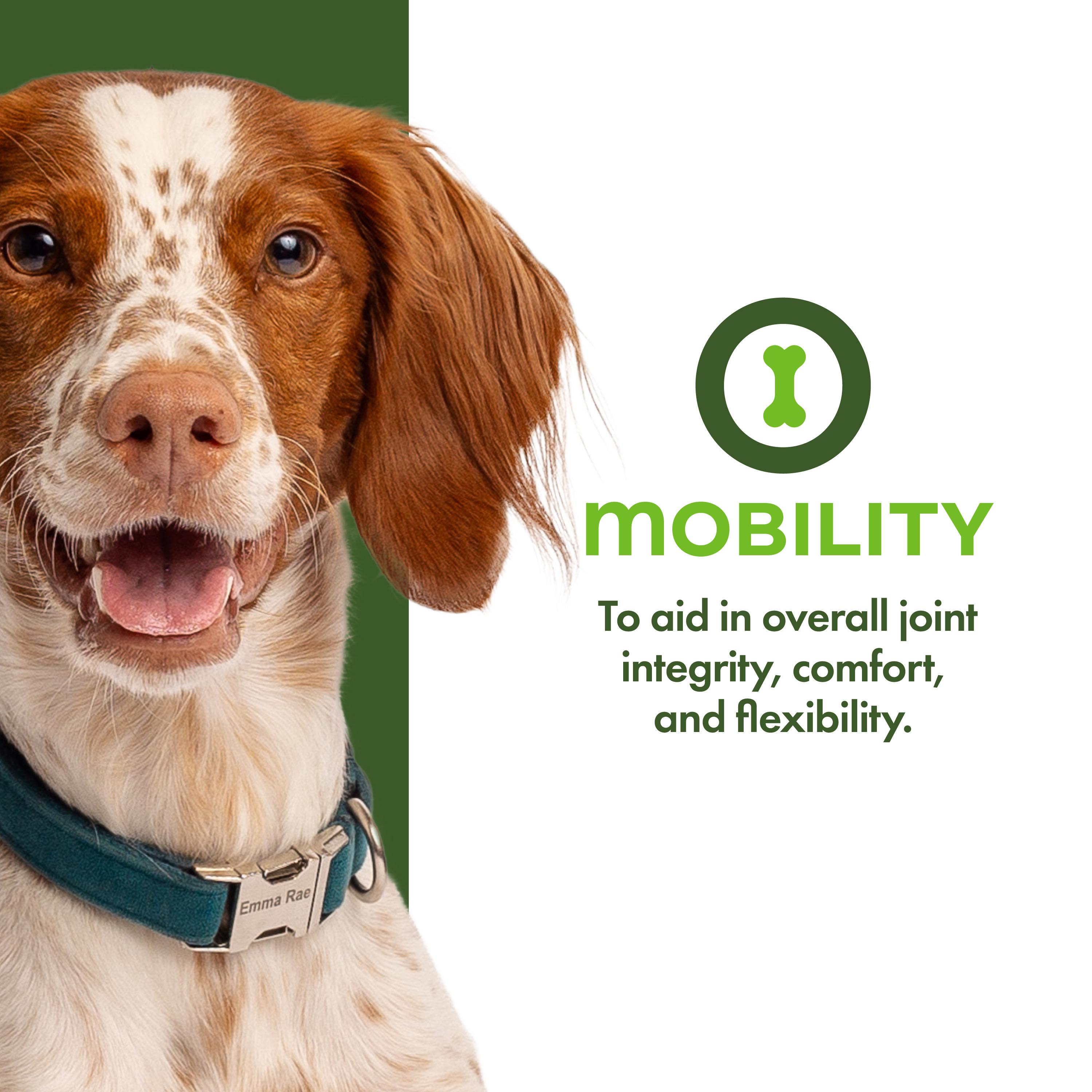 Nutritionals_usage_Amazon_mobility