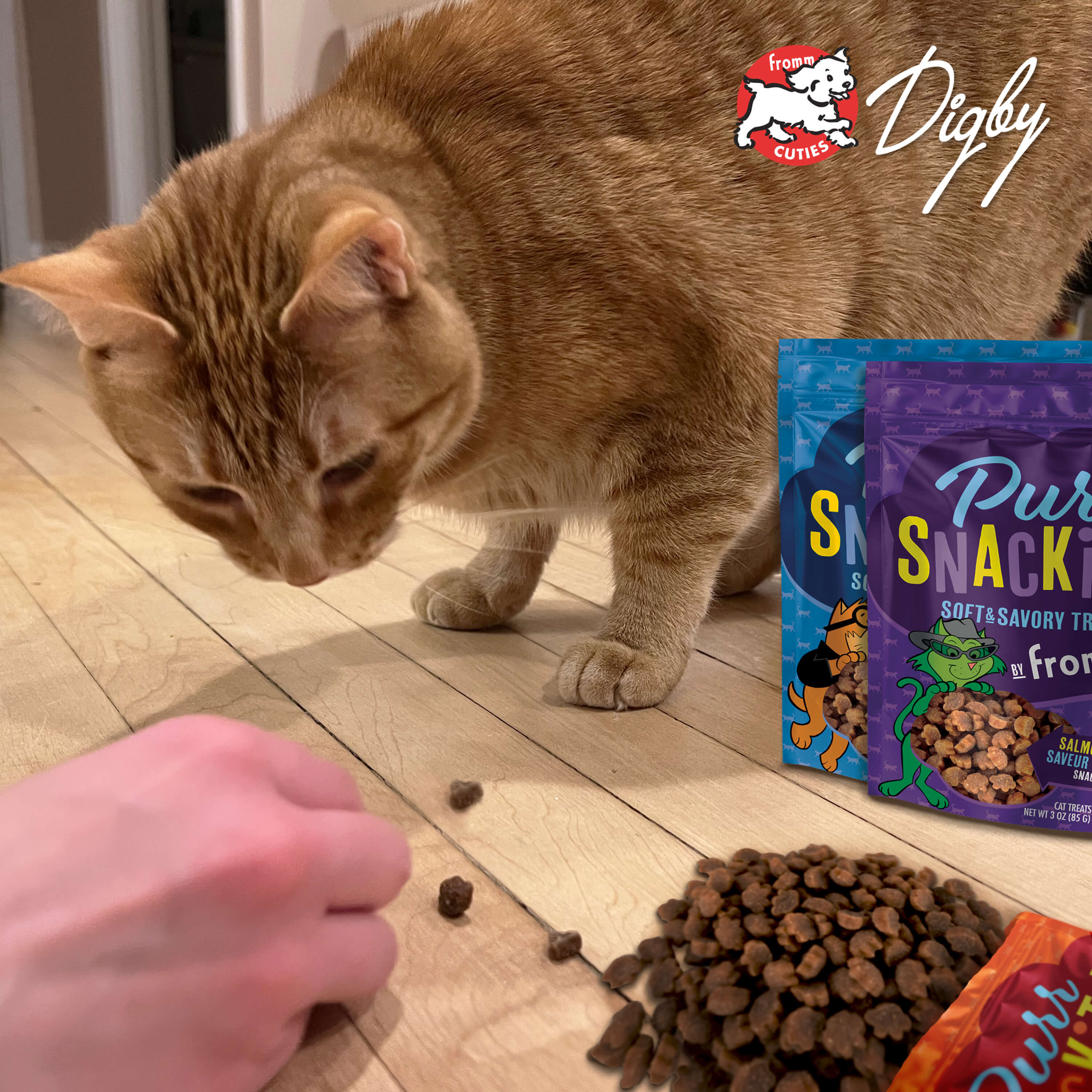 PurrSnackitty_cuties-Digby