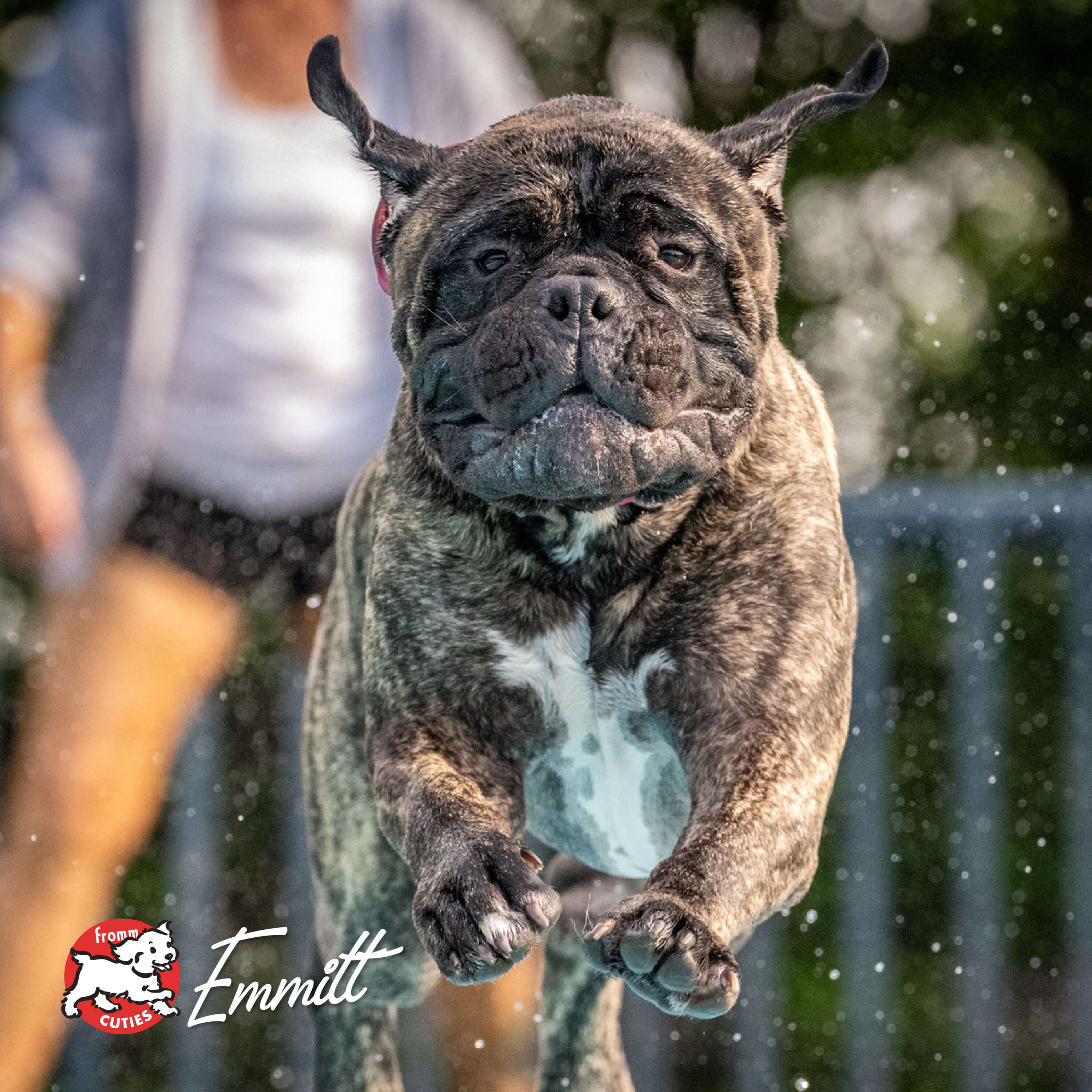 Tenderollies_cuties-emmitt