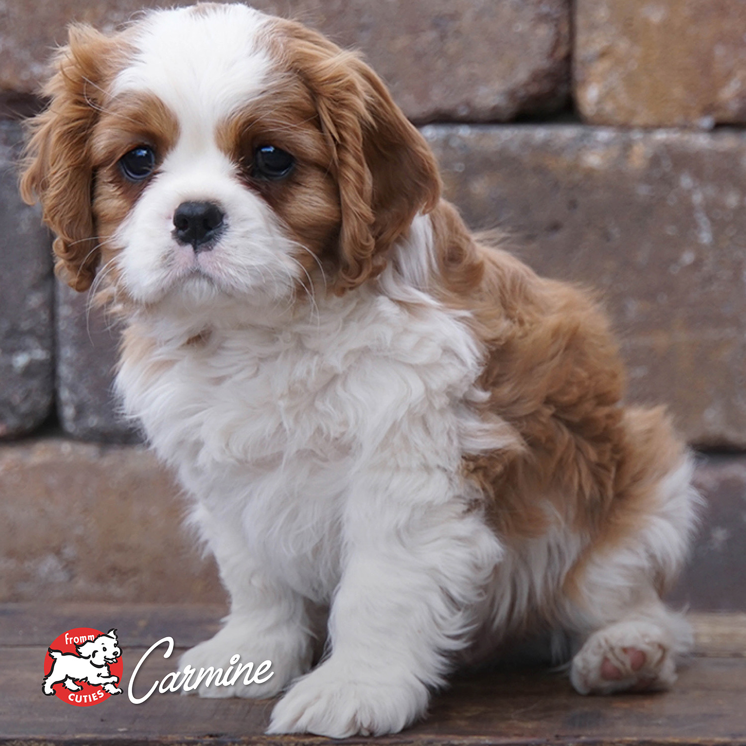 classic-can_cuties-carmine