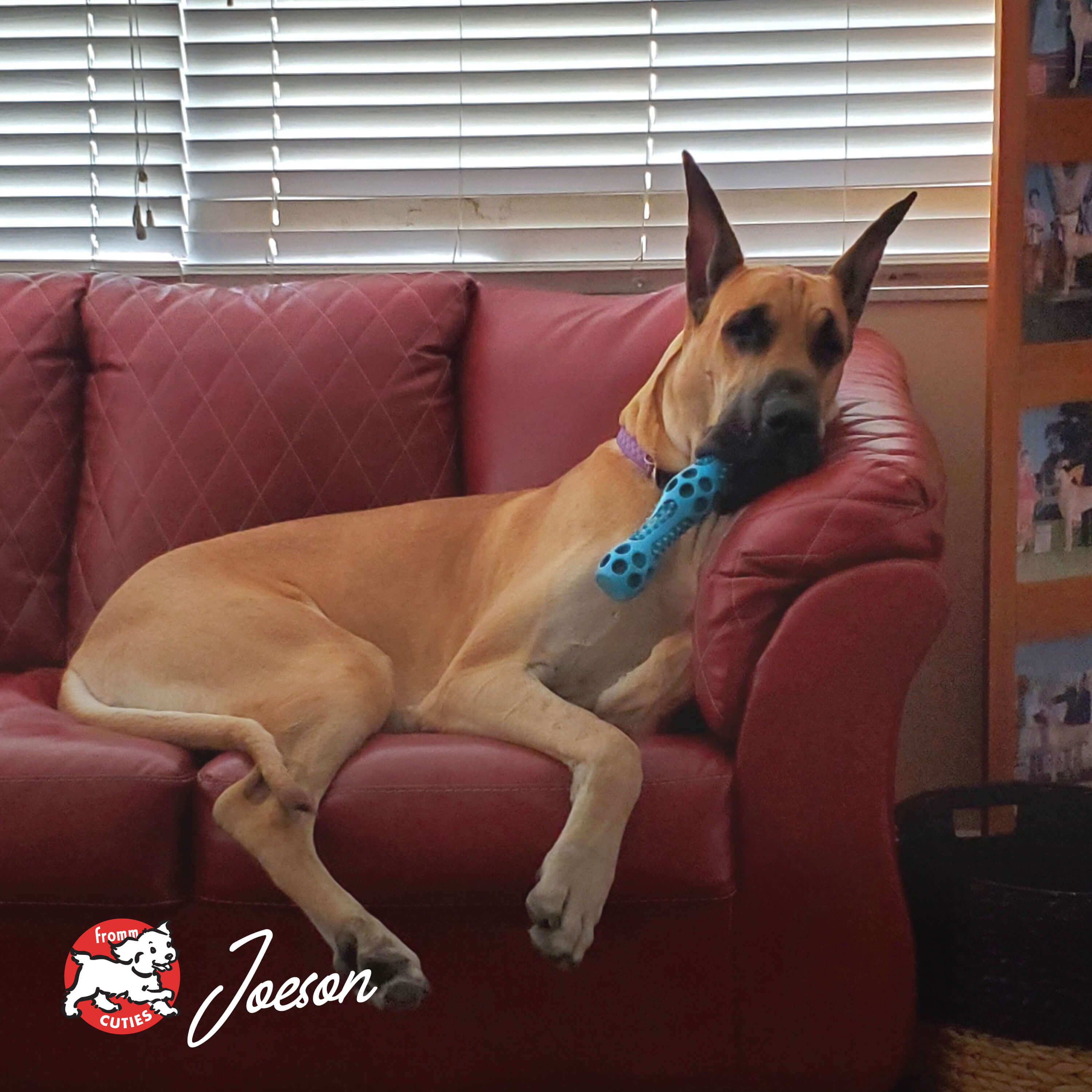 classic_cuties-Joeson